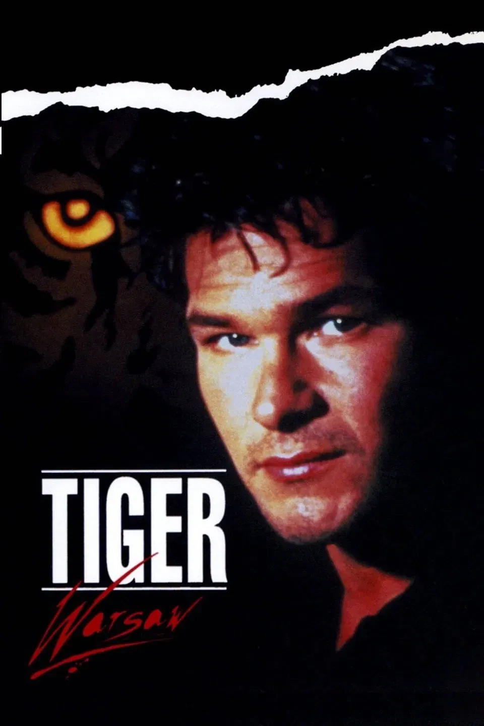 Poster of the movie Tiger Warsaw
