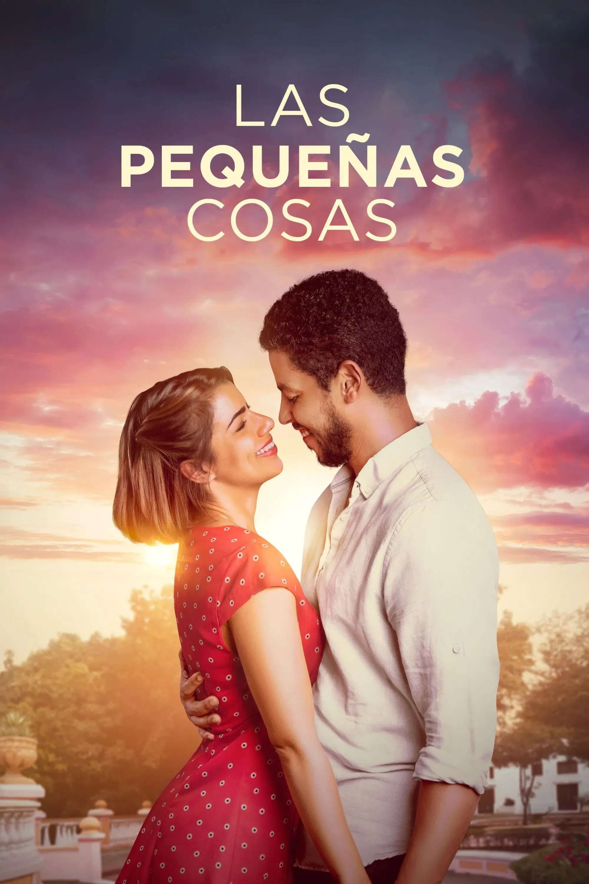 Poster of the movie Las pequeñas cosas