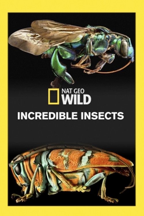 Poster of the movie Incredible Insects