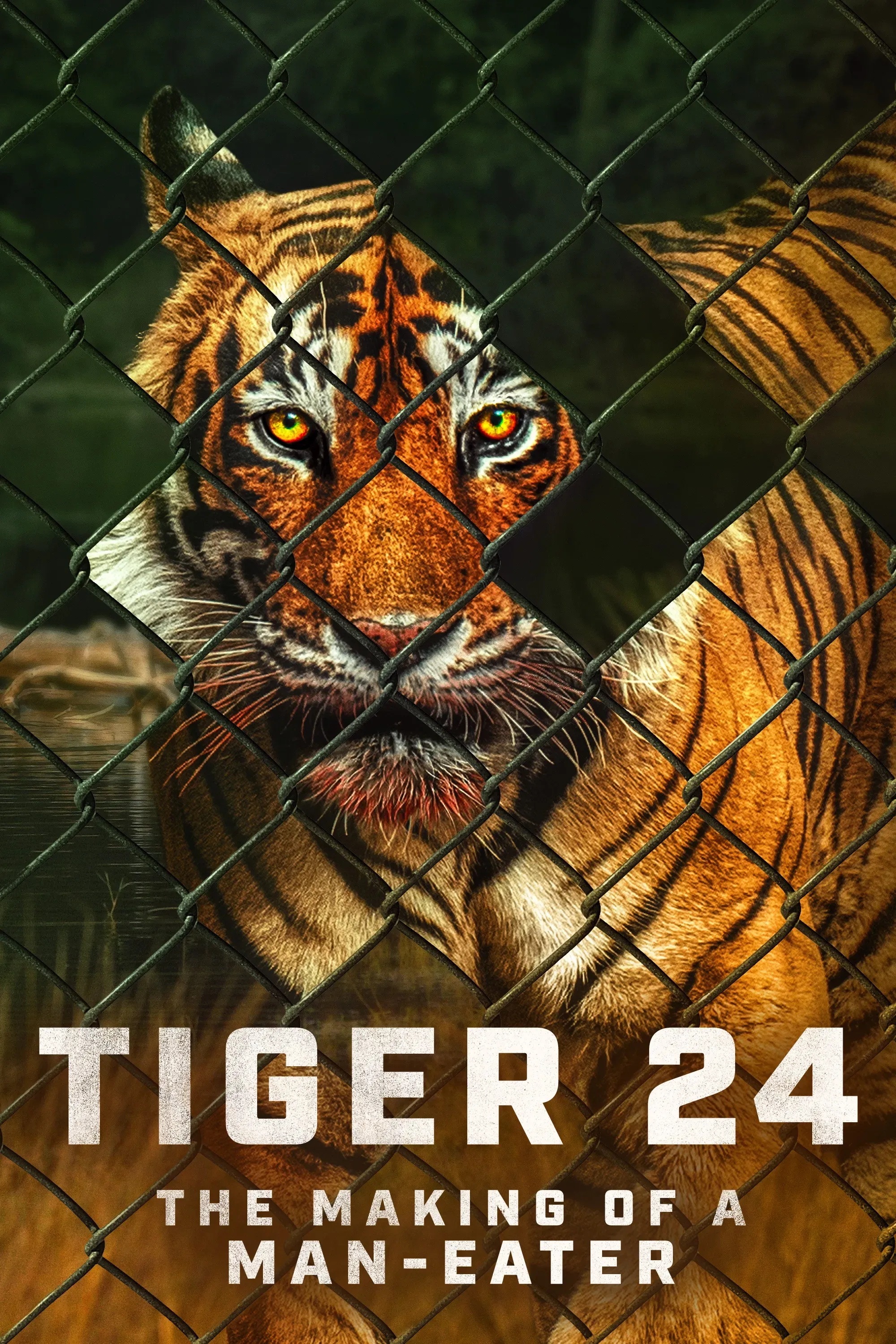 Poster of the movie Tiger 24