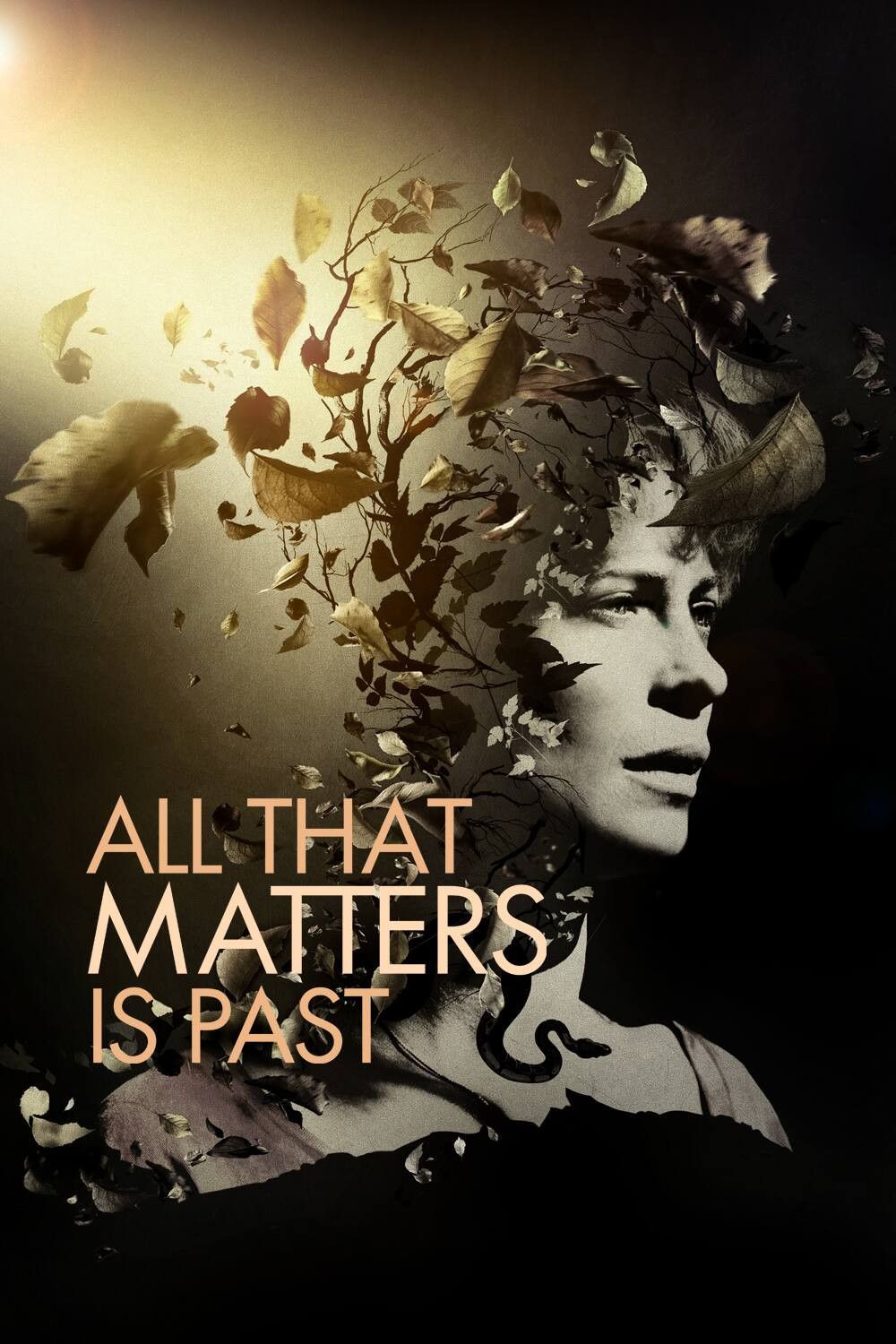 Poster of the movie All That Matters Is Past