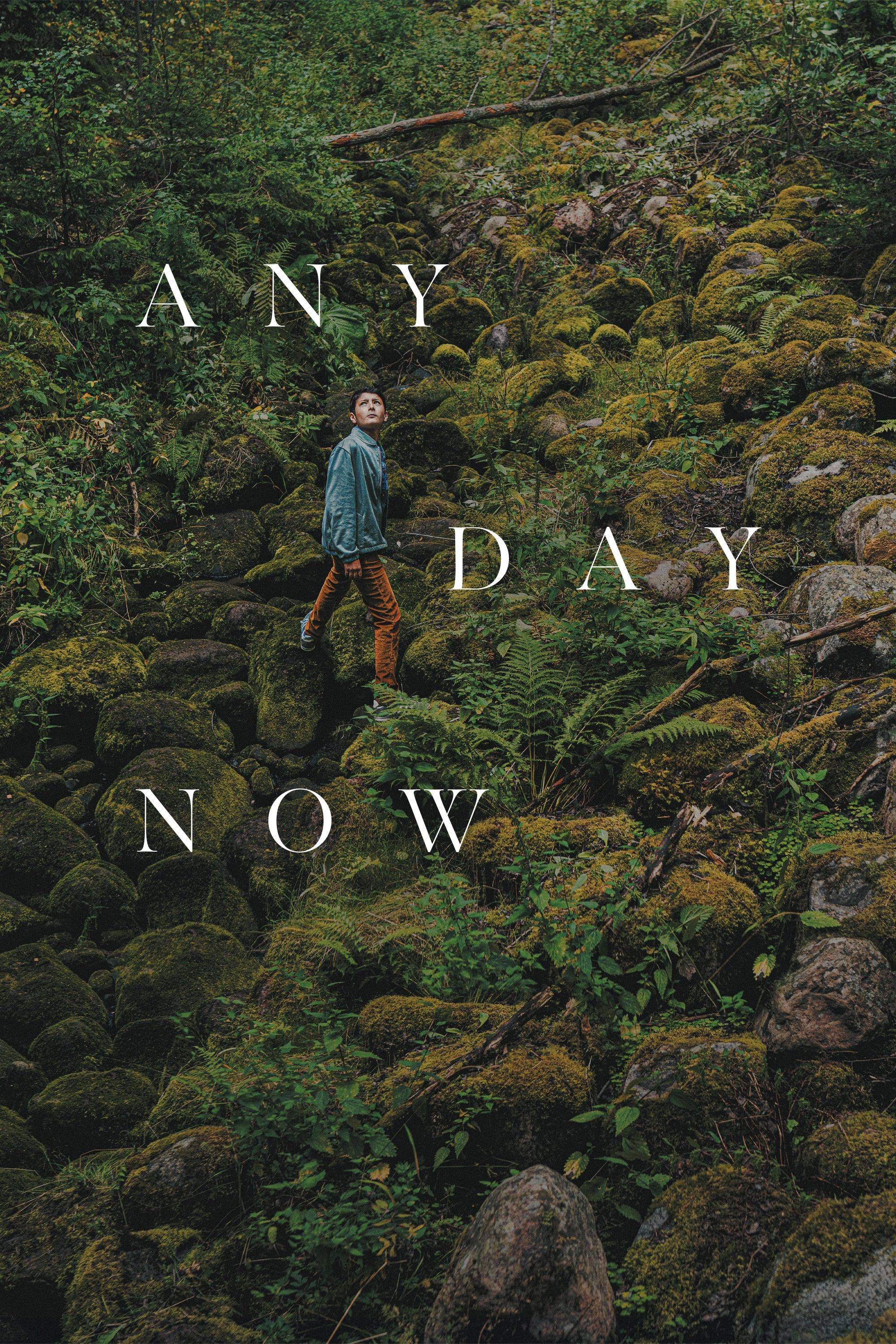 Poster of the movie Any Day Now