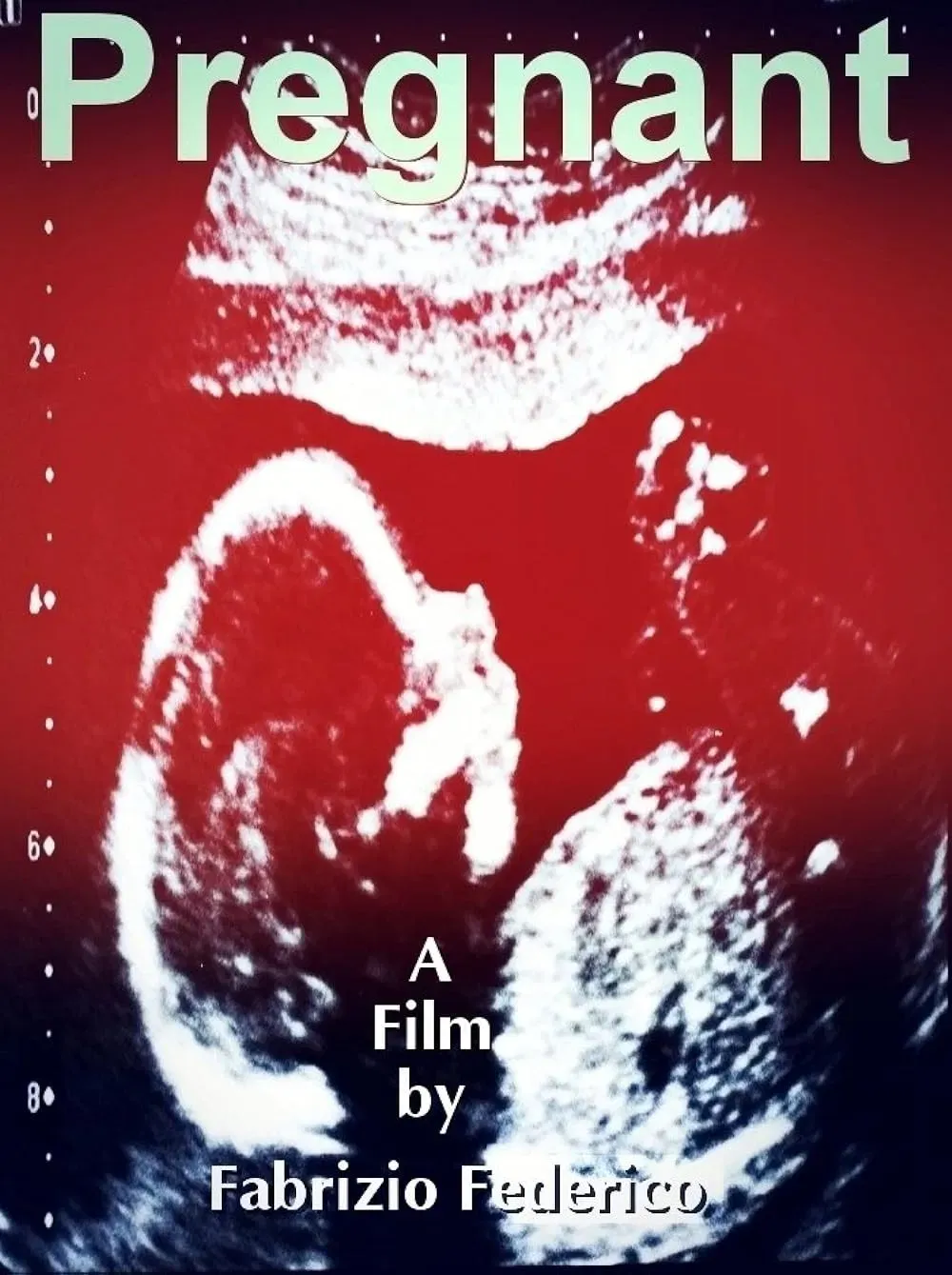 Poster of the movie Pregnant