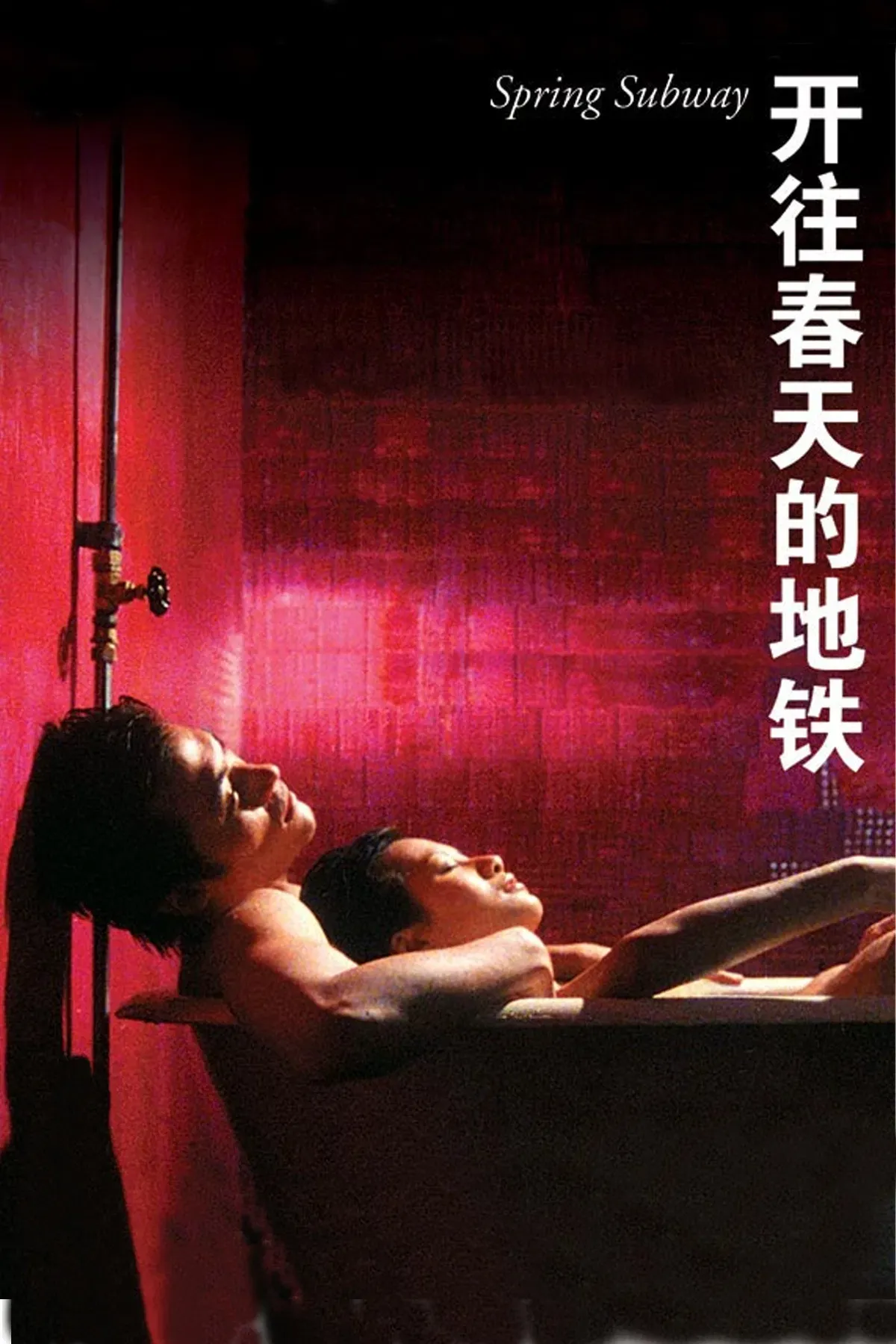 Poster of the movie Spring Subway
