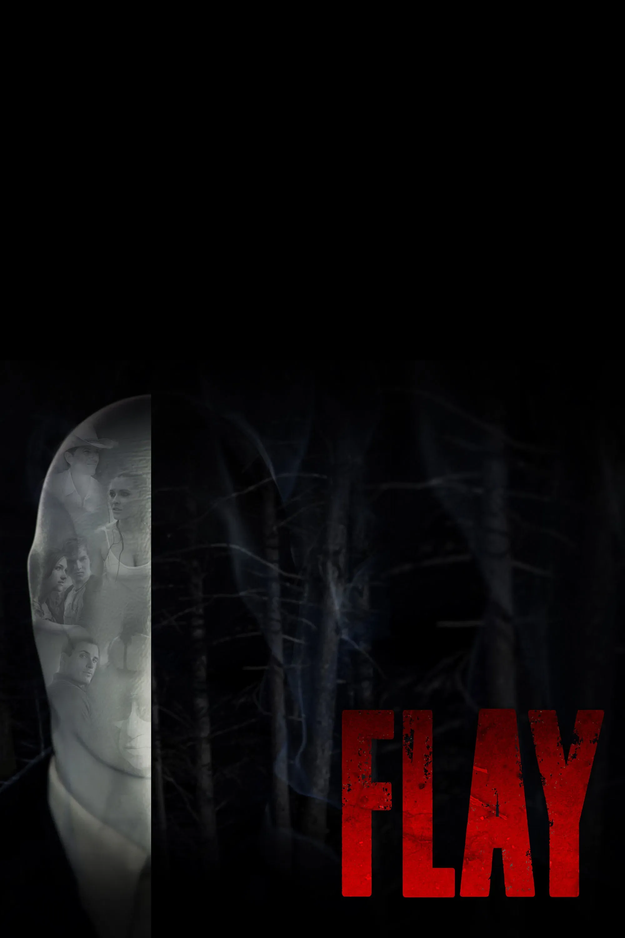 Poster of the movie Flay