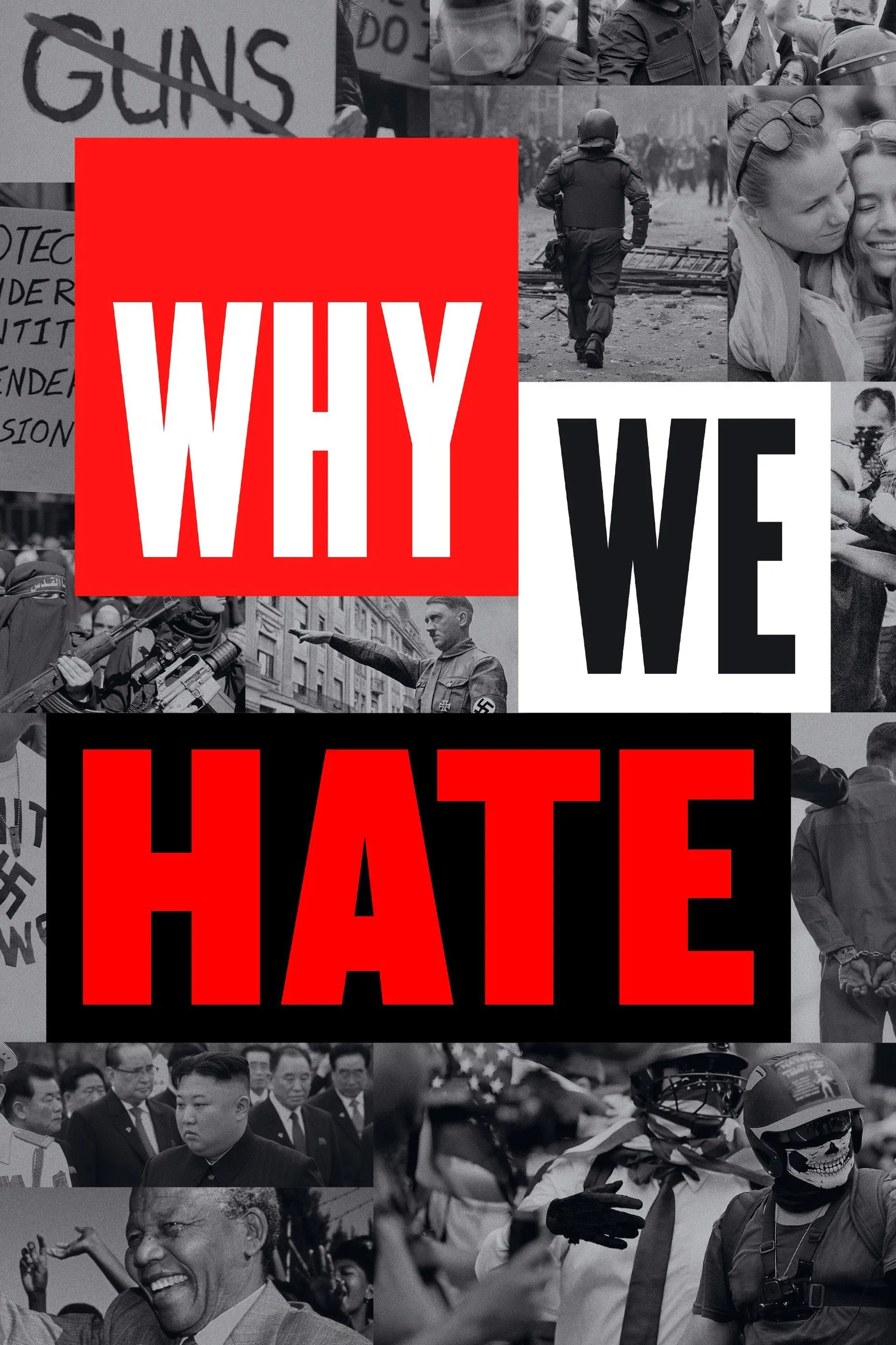 Poster of Why We Hate