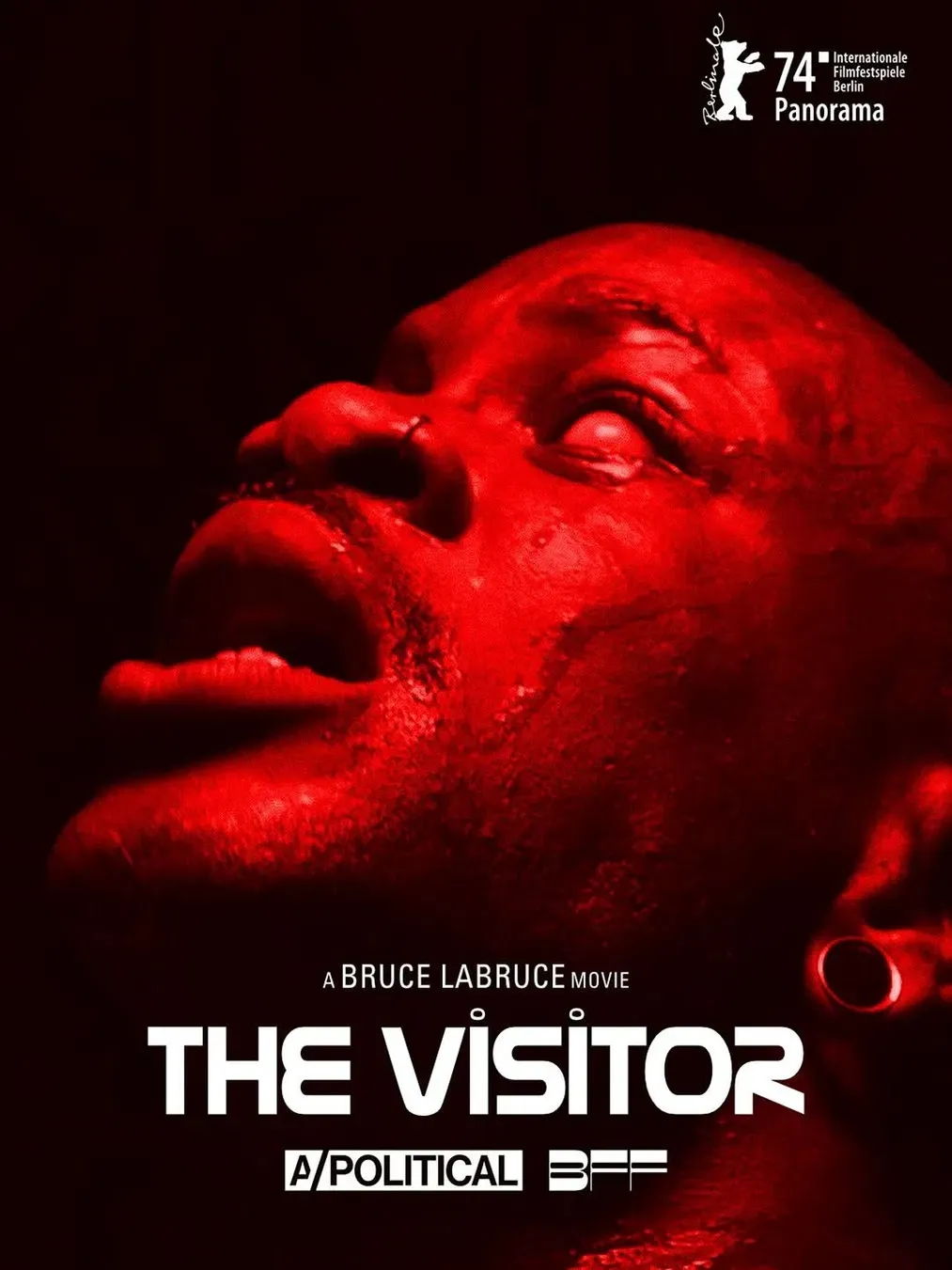 Poster of the movie The Visitor