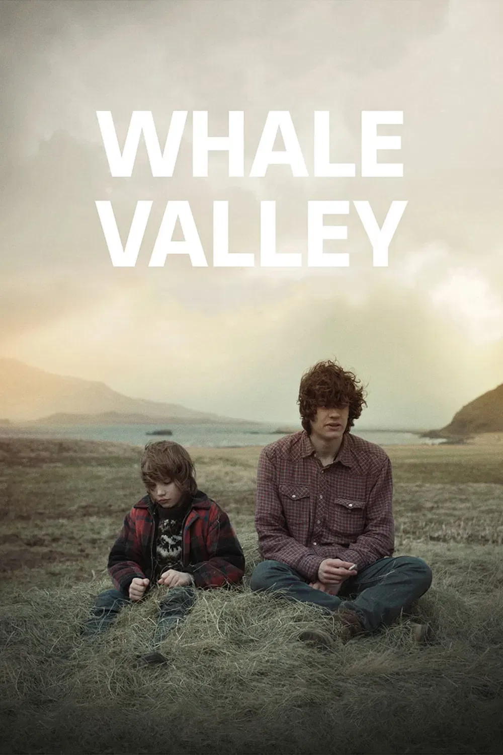 Poster of the movie Whale Valley