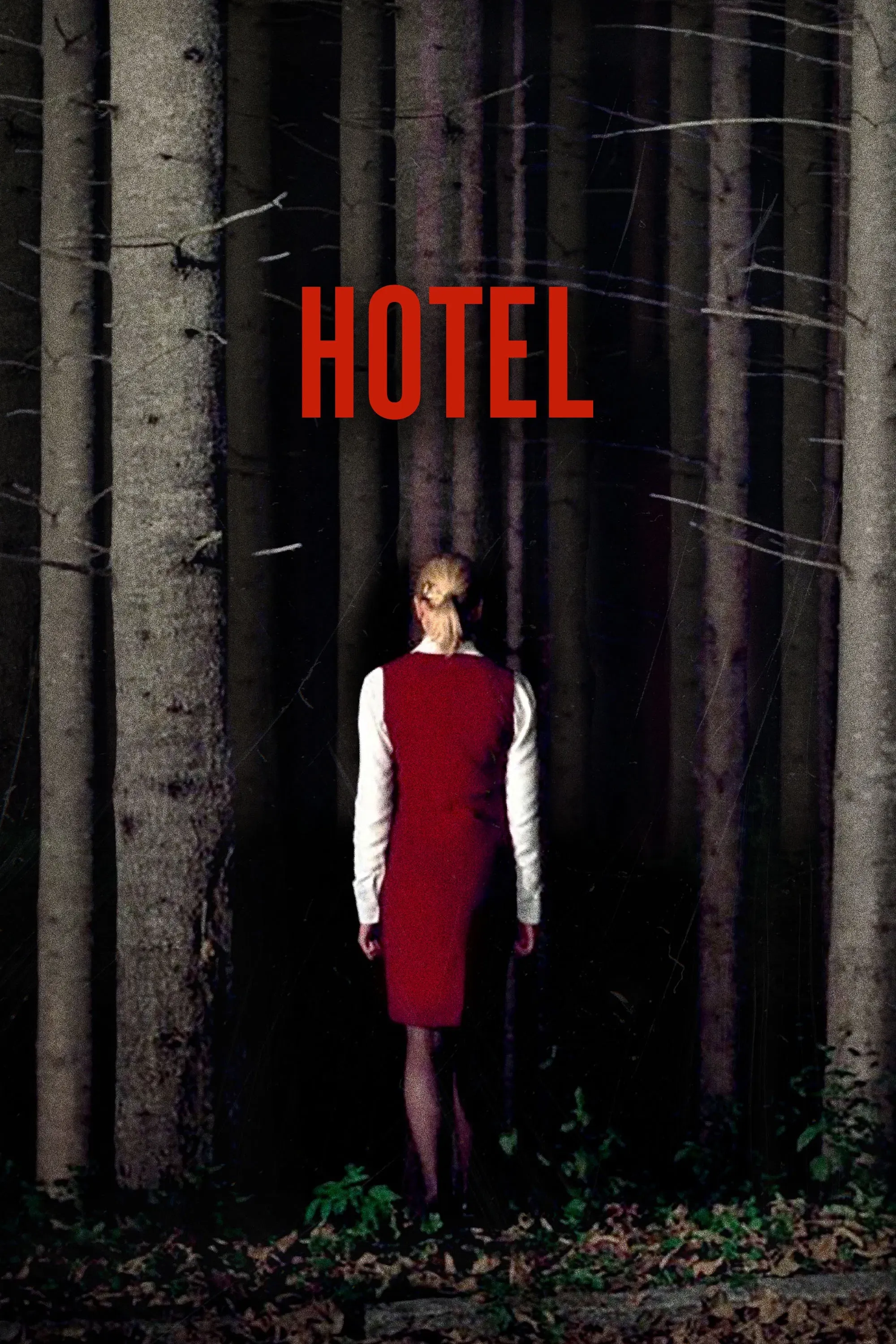 Poster of the movie Hotel