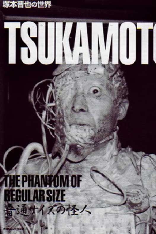 Poster of the movie The Phantom of Regular Size