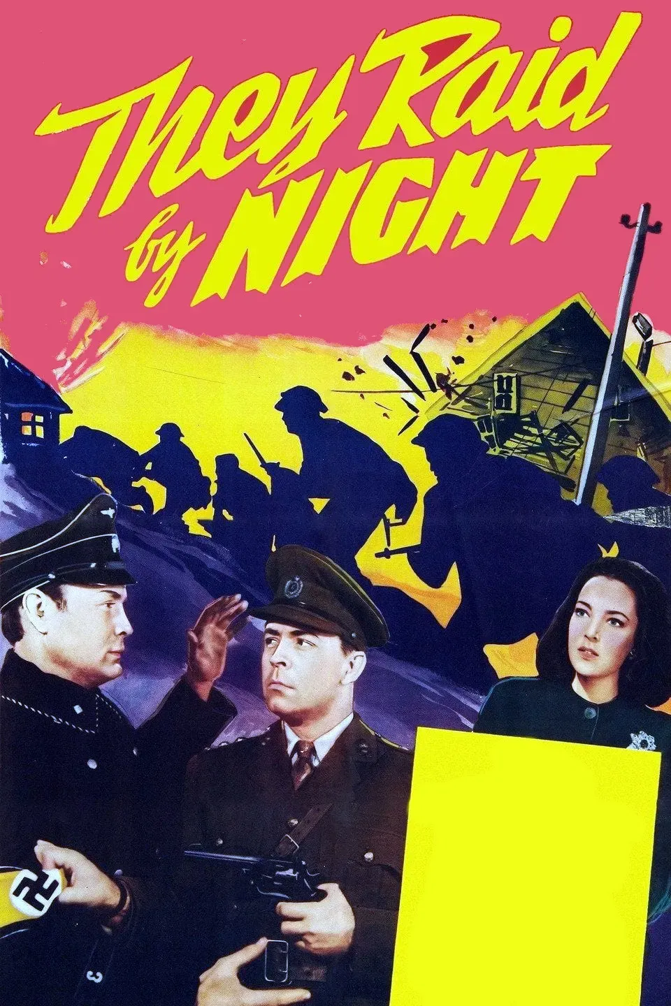 Poster of the movie They Raid by Night
