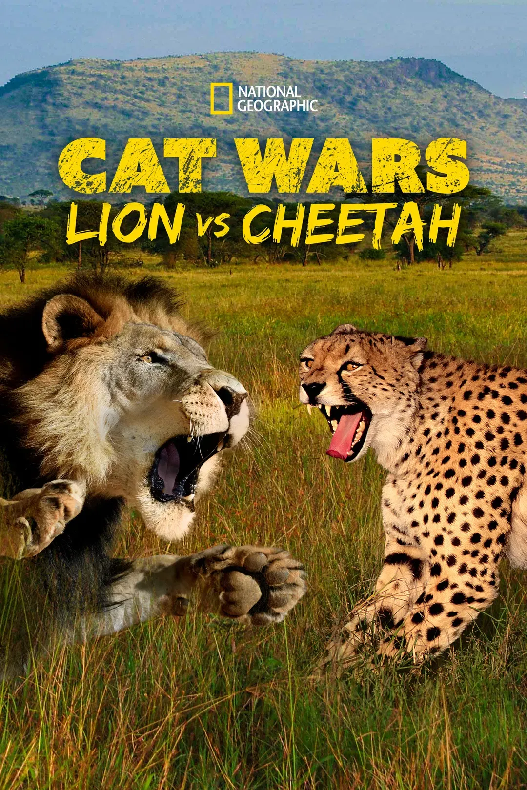 Poster of the movie Cat Wars: Lion vs. Cheetah