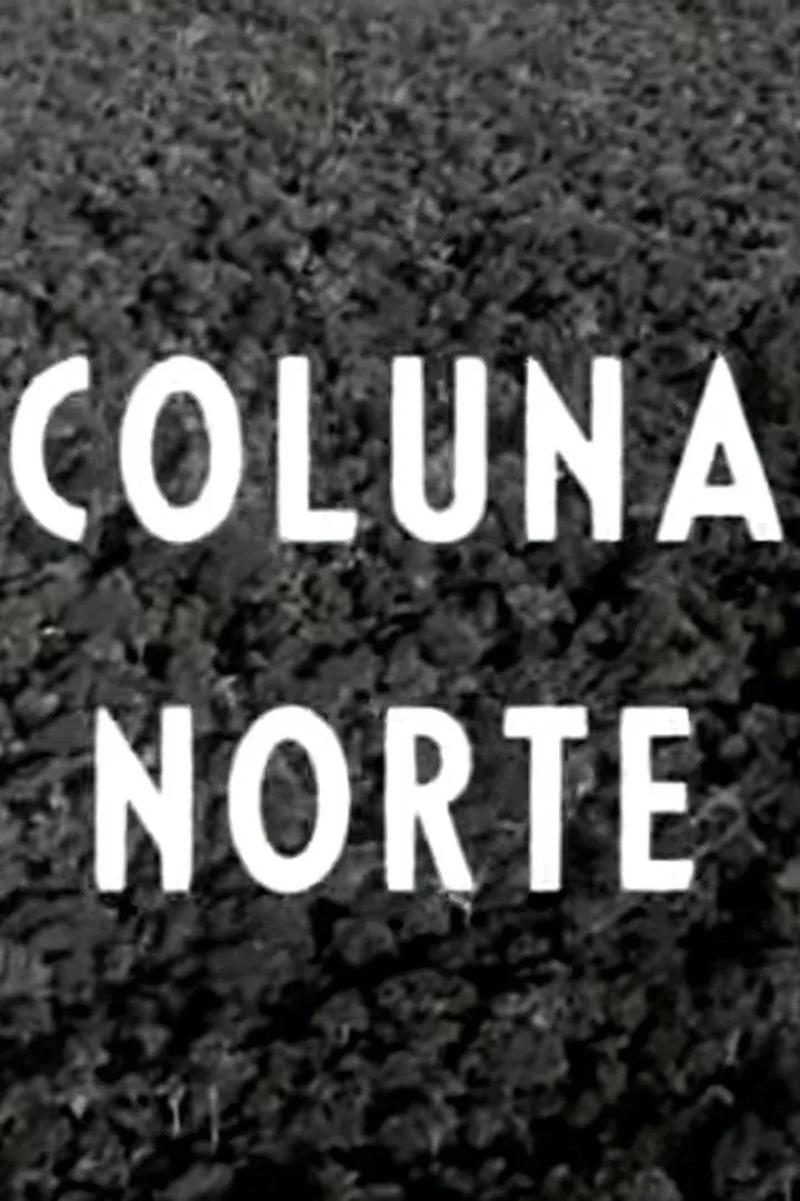 Poster for Coluna Norte
