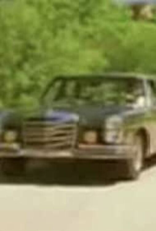 Poster of the movie Pig!