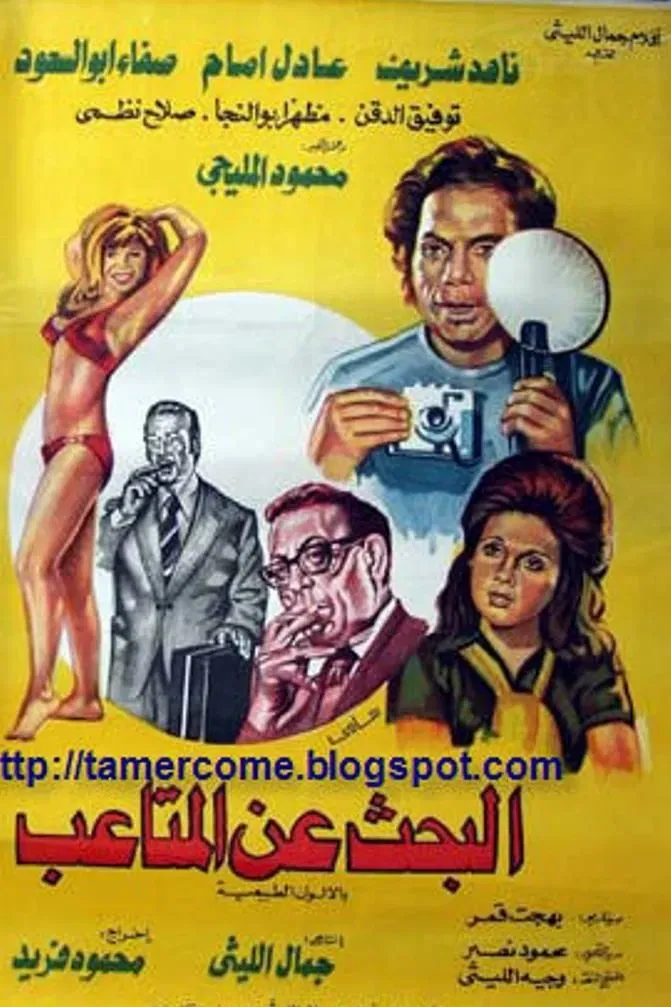Poster of the movie Looking for Troubles