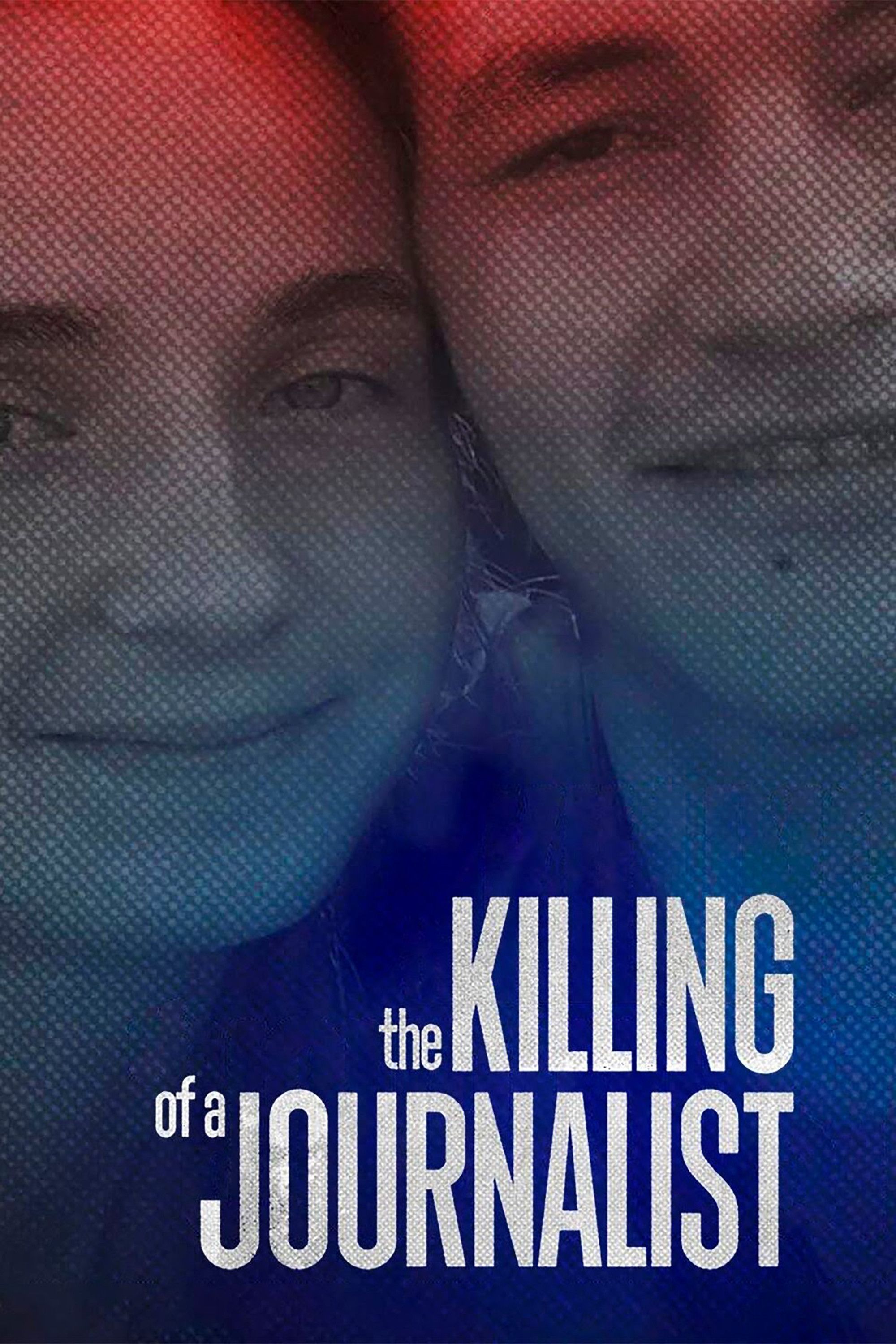 Poster of the movie The Killing of a Journalist