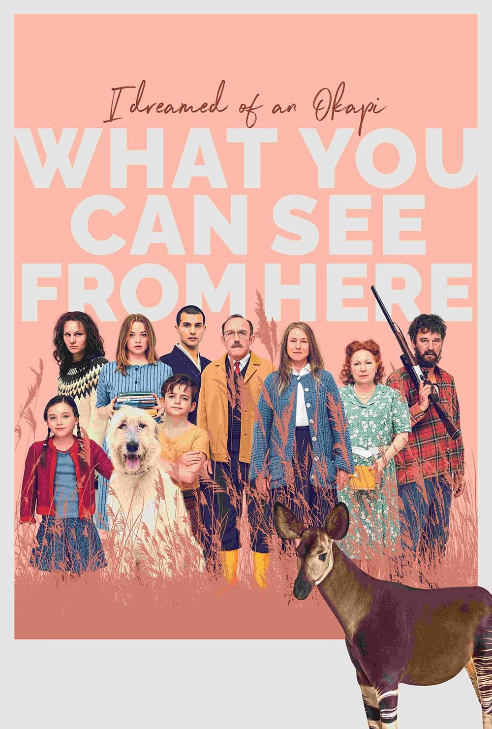 Poster of the movie What You Can See from Here