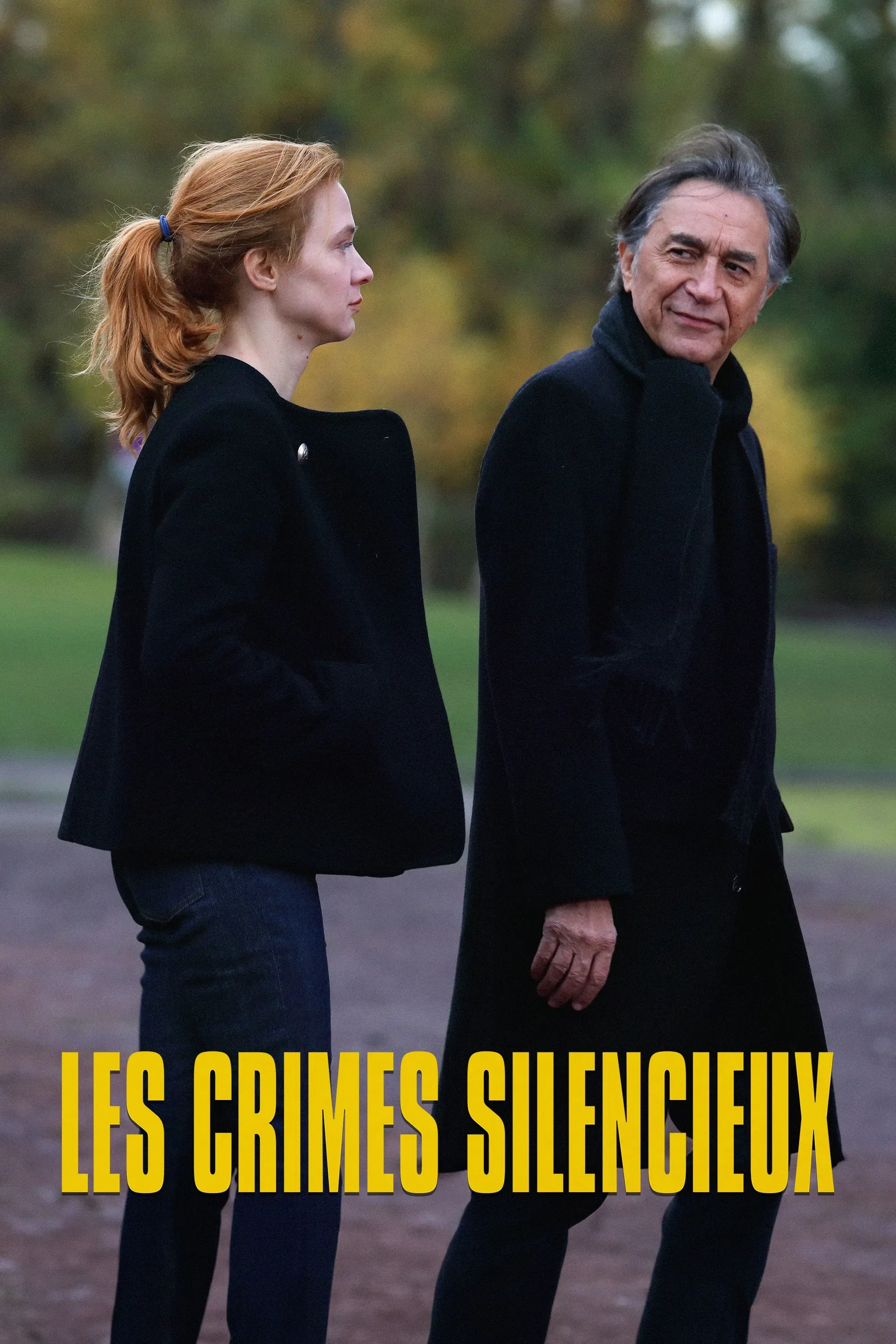 Poster of the movie Murder in Lille