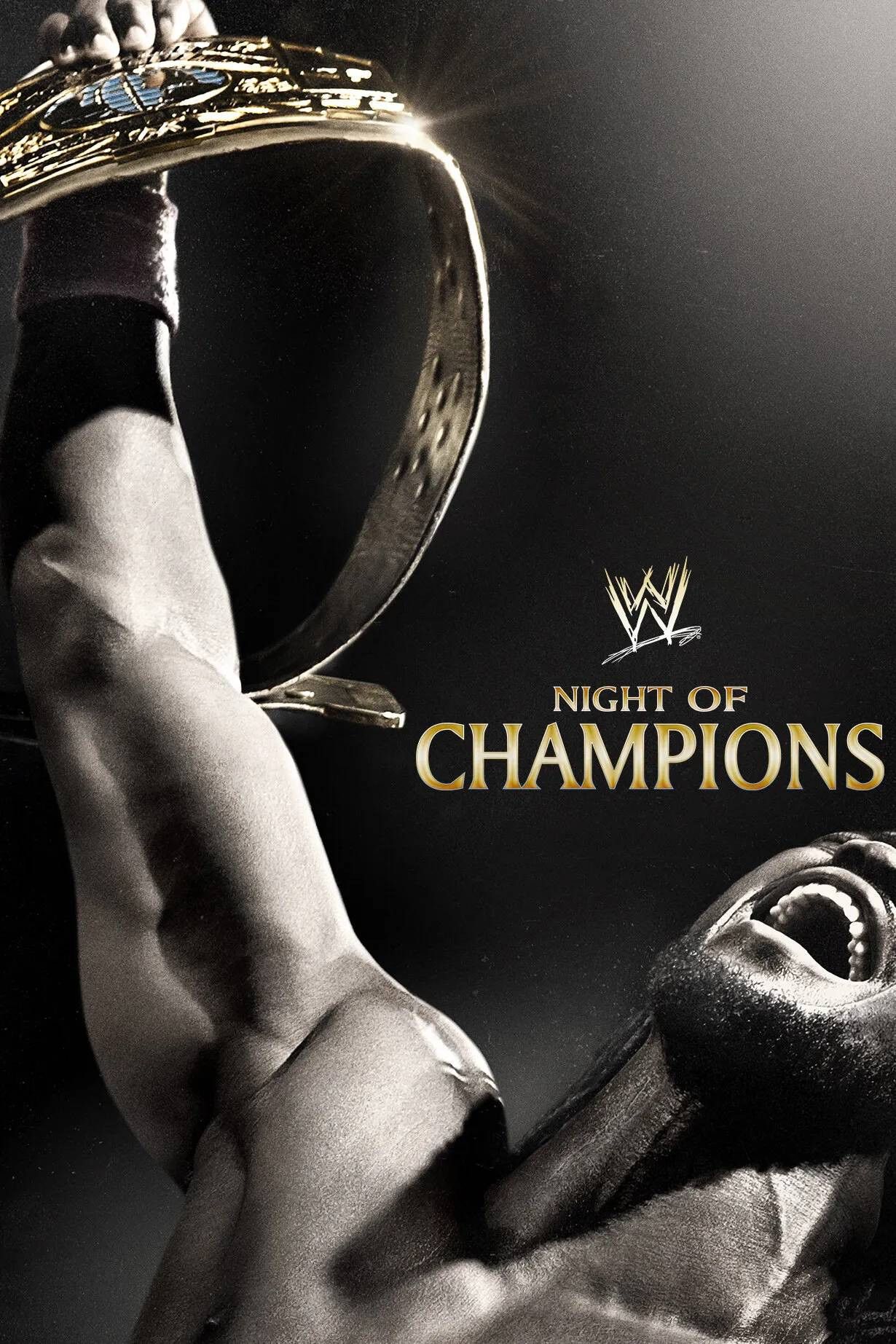 Poster of the movie WWE Night of Champions 2013