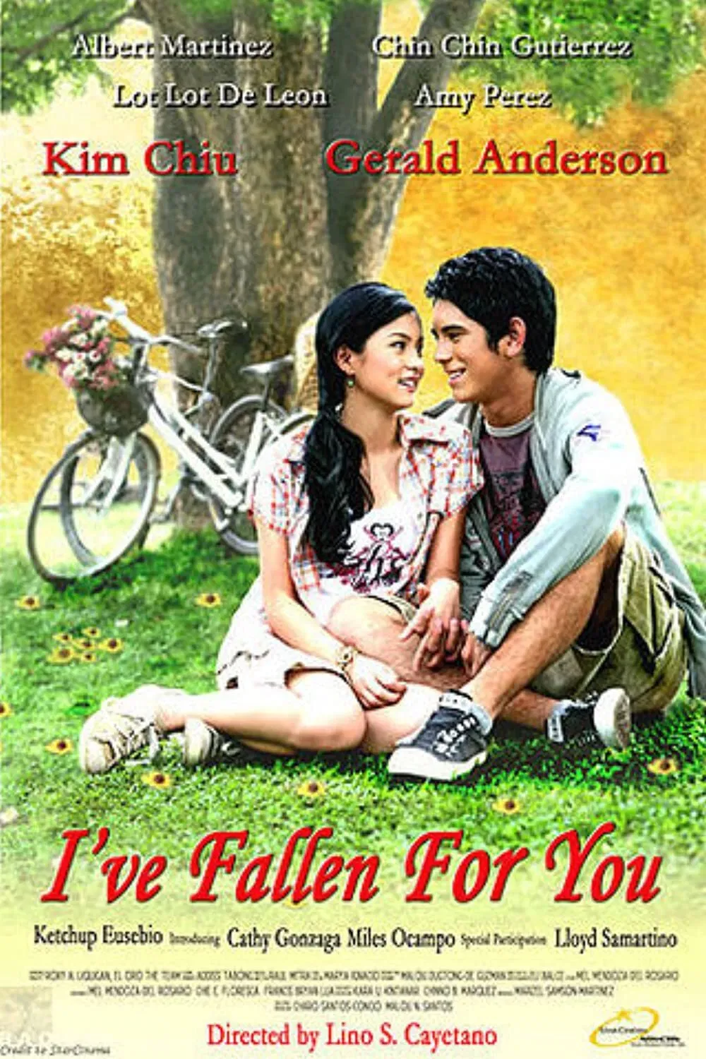 Poster of the movie I've Fallen for You