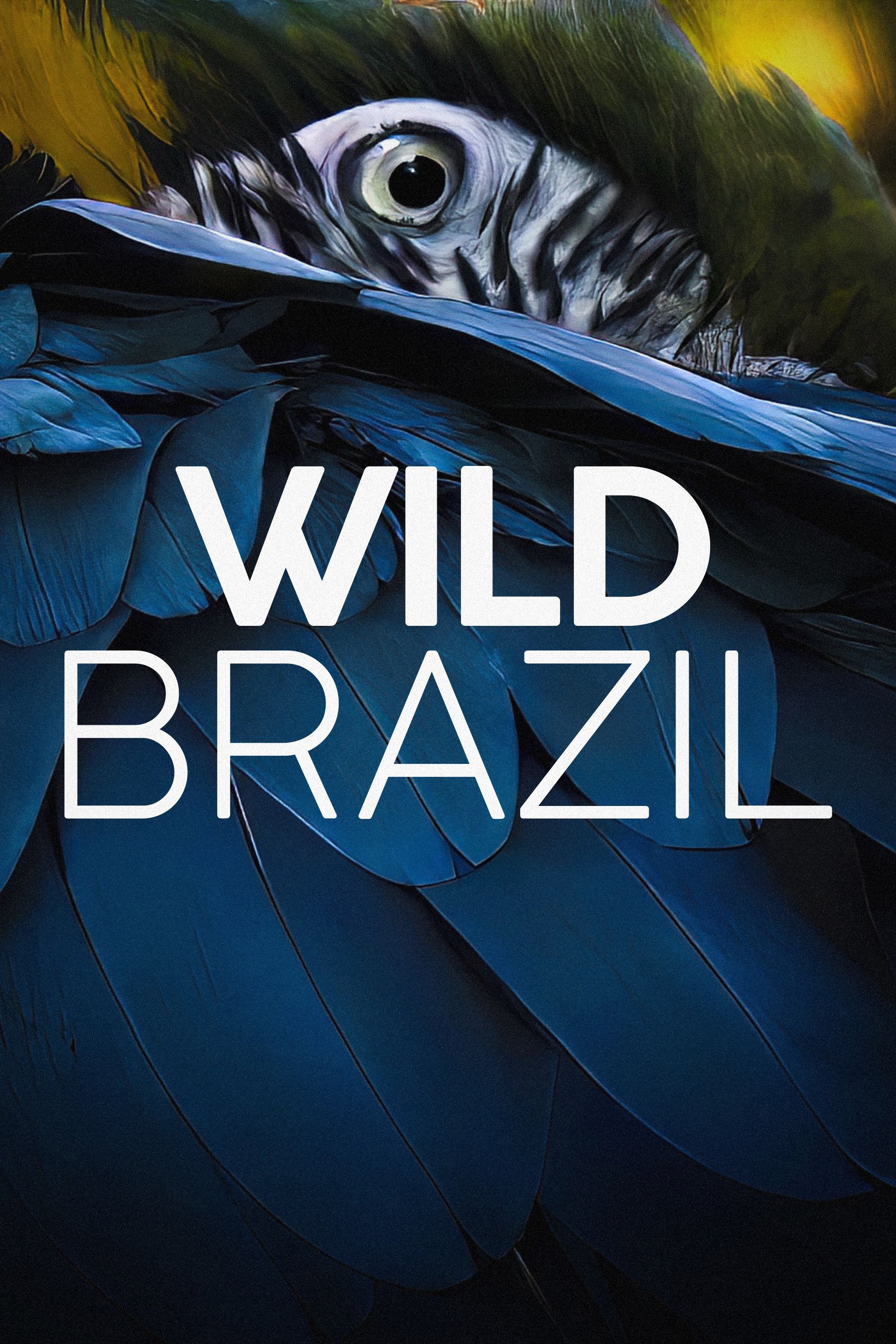 Poster of Wild Brazil