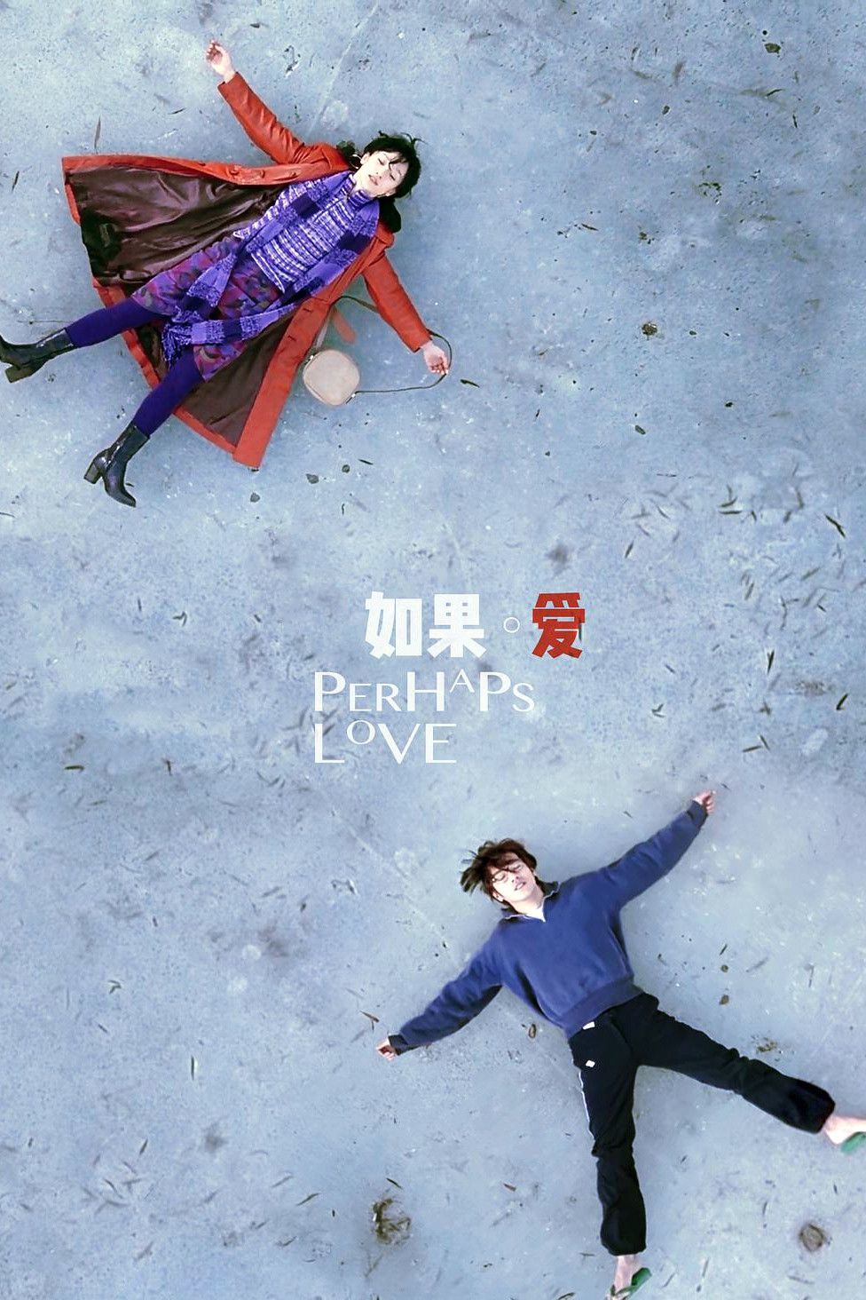 Poster of the movie Perhaps Love