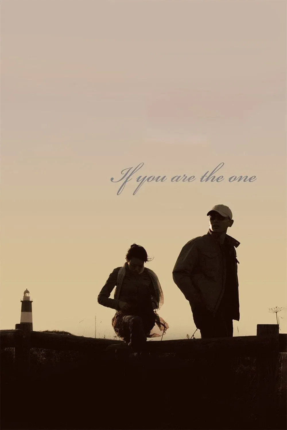 Poster of the movie If You Are the One