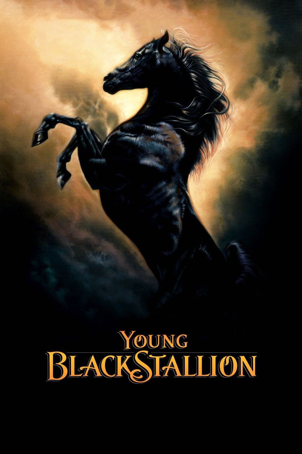 Poster of the movie Young Black Stallion