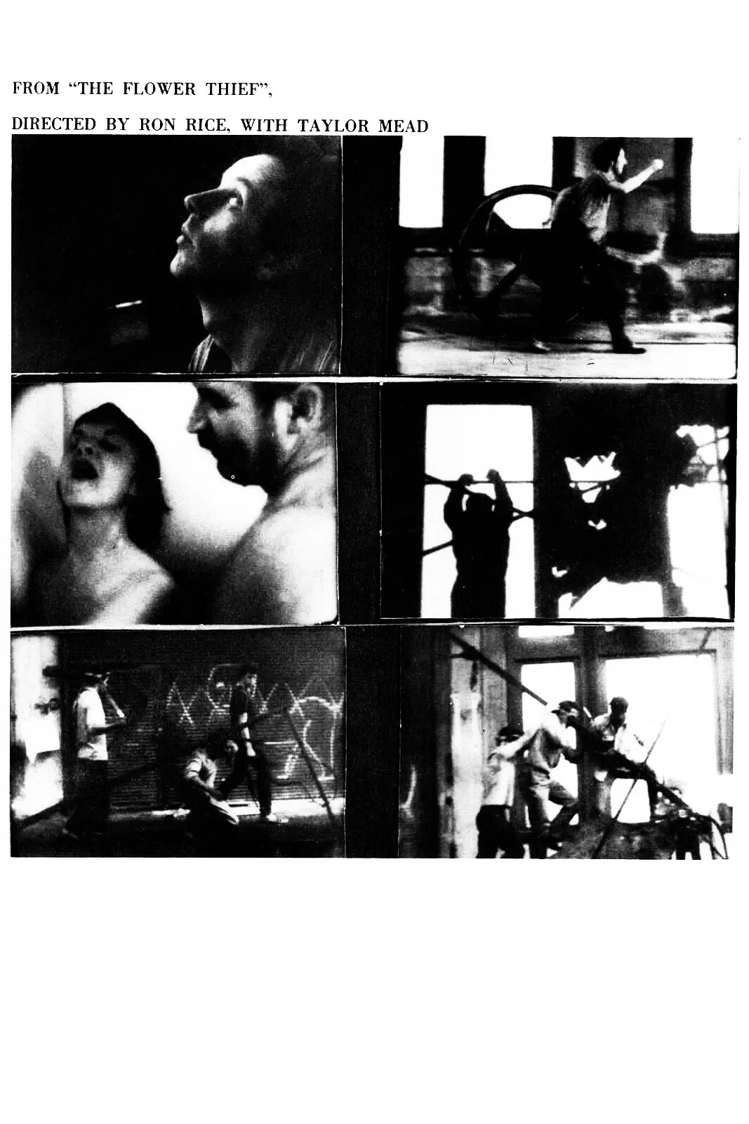 Poster of the movie The Flower Thief