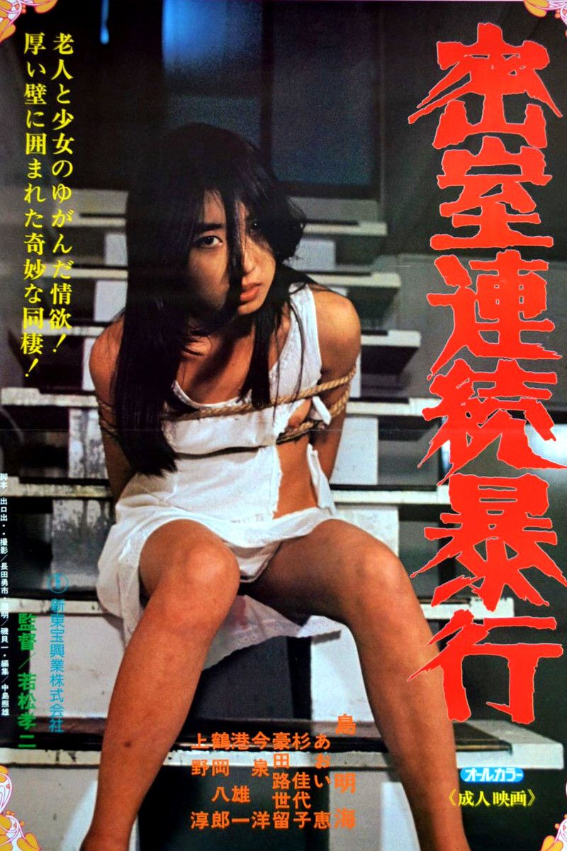 Poster of the movie Serial Rape in a Secret Room