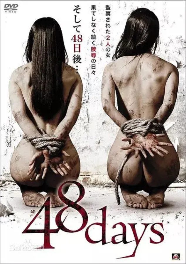 Poster for 48 Days