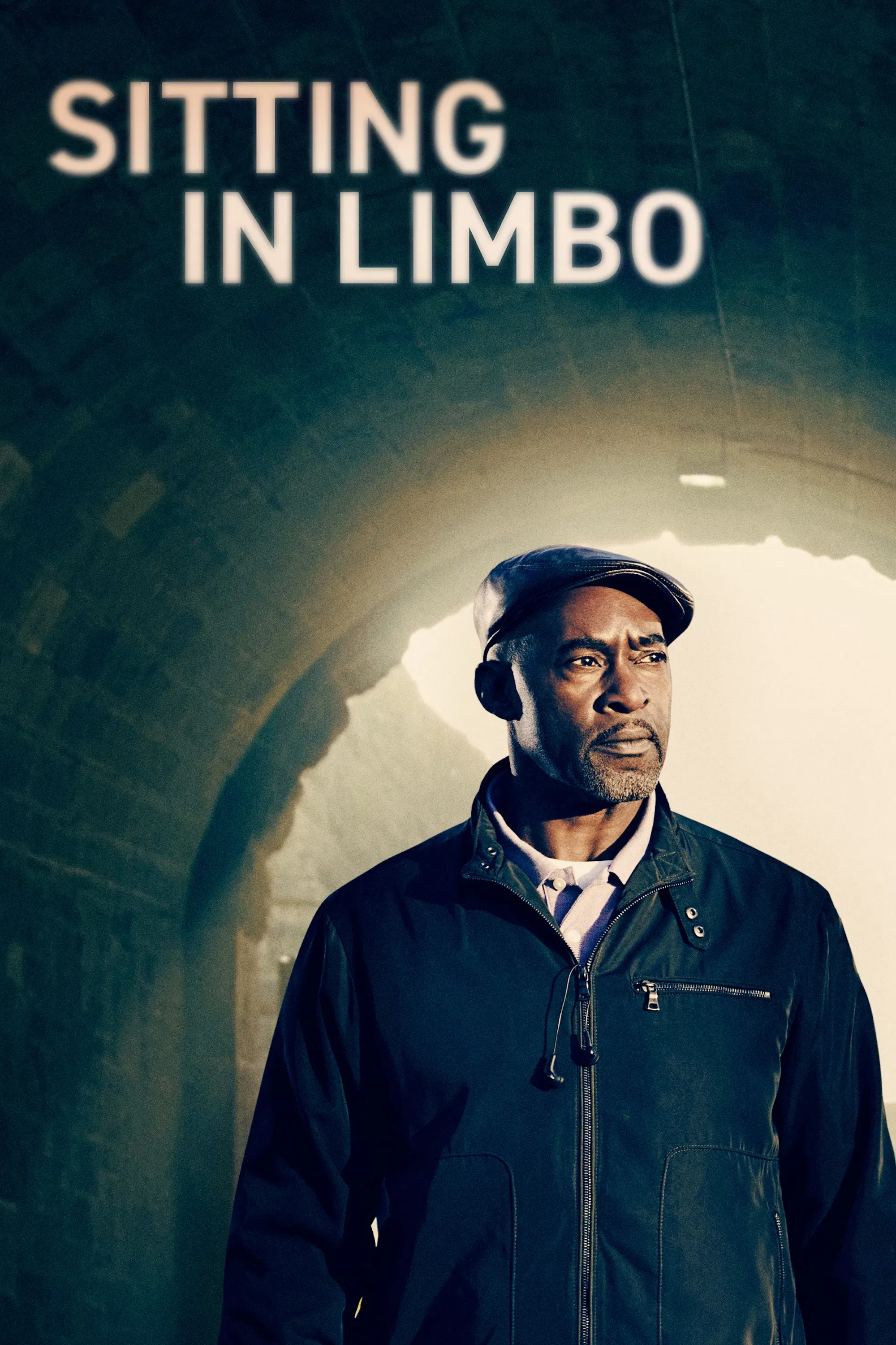 Poster of the movie Sitting in Limbo