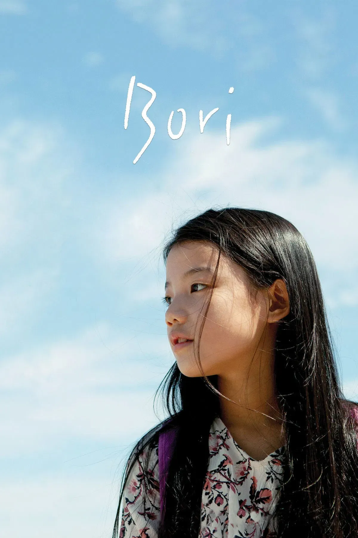 Poster of the movie Bori