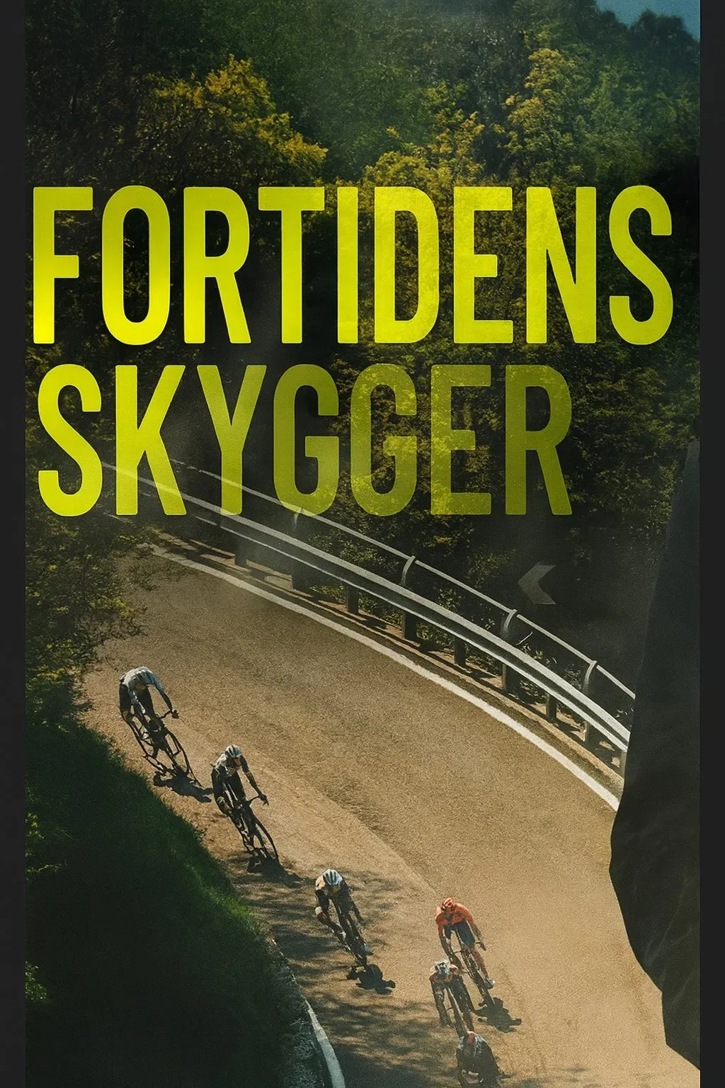 Poster of the movie Fortidens Skygger