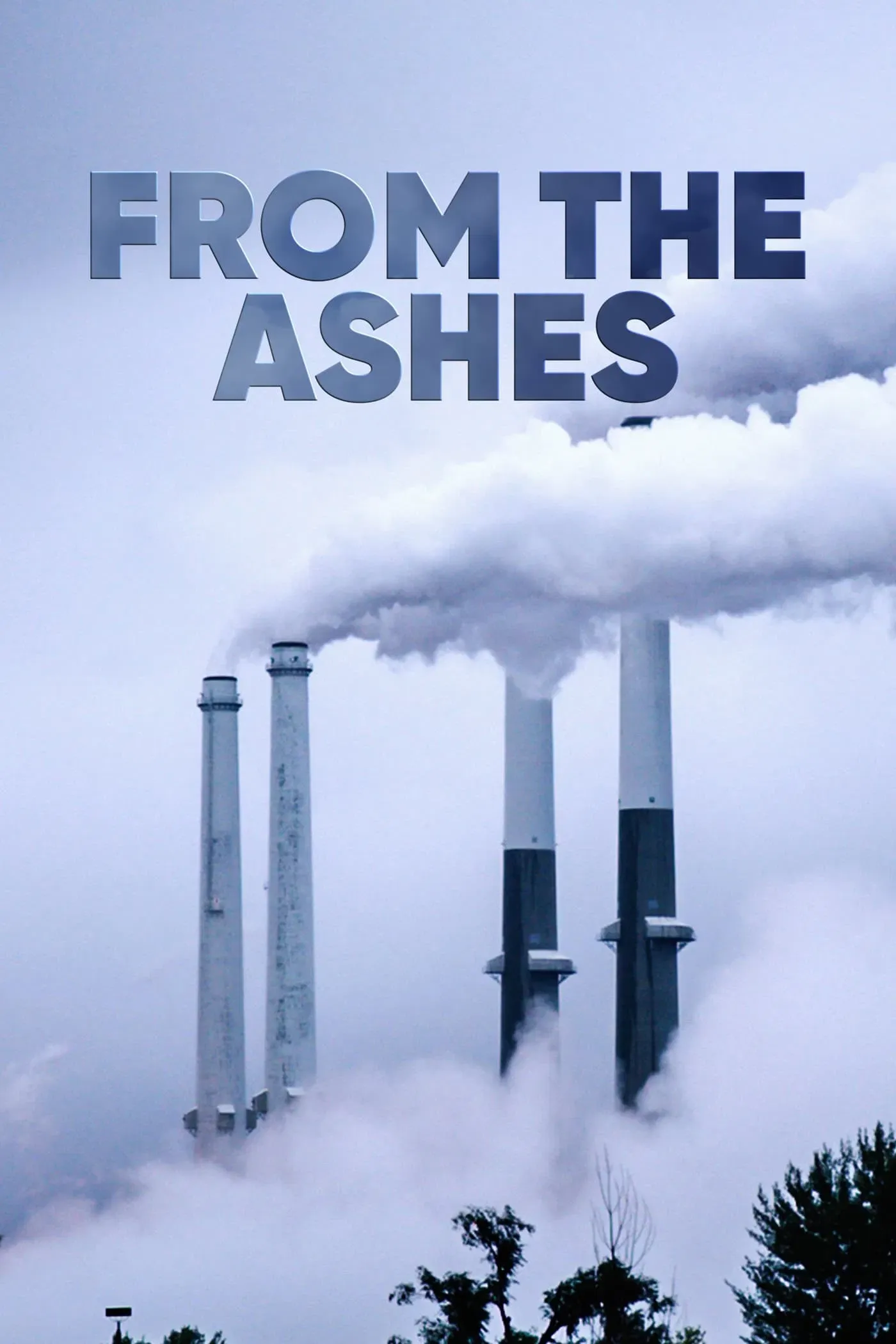 Poster of the movie From the Ashes