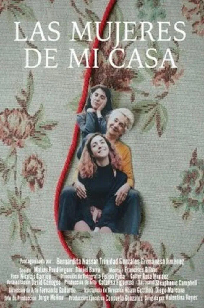 Poster of the movie Las mujeres de mi casa