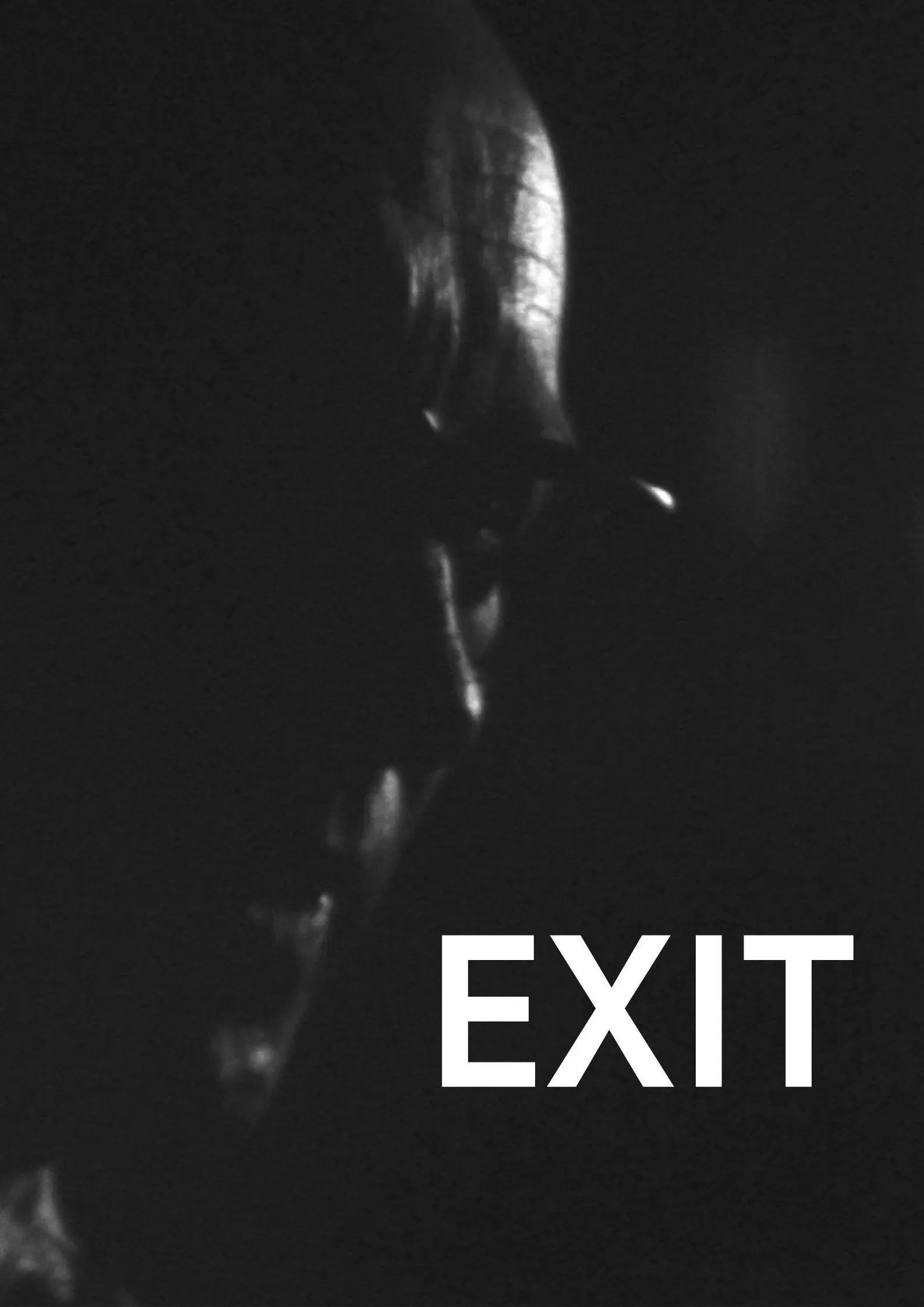 Poster of the movie Exit