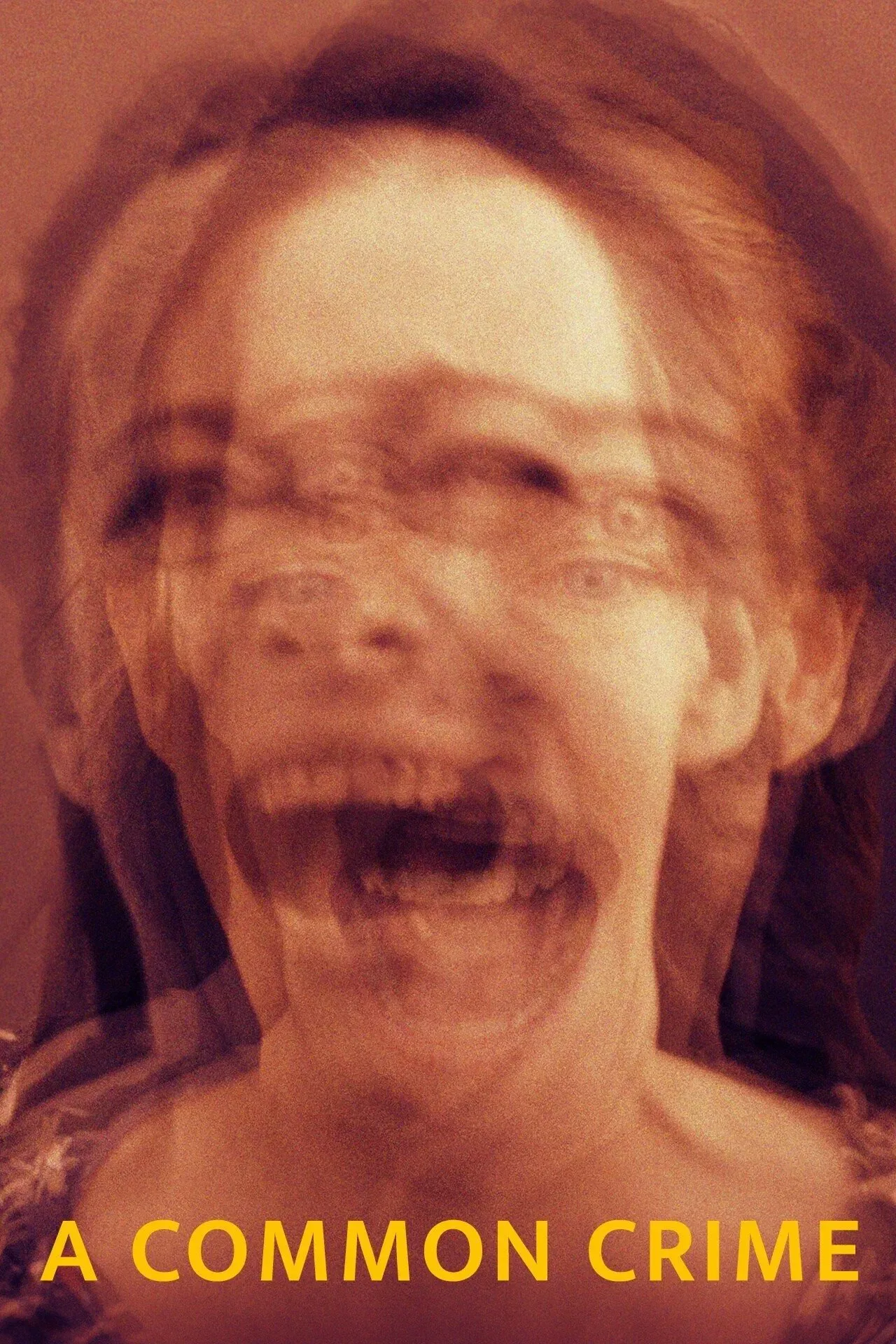 Poster of the movie A Common Crime