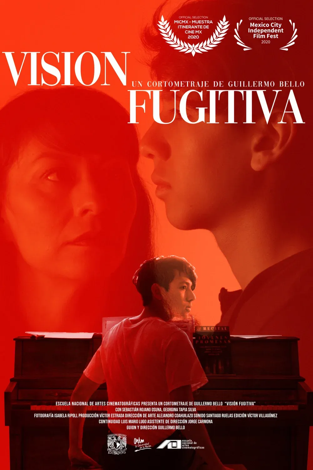 Poster for Fugitive Vision
