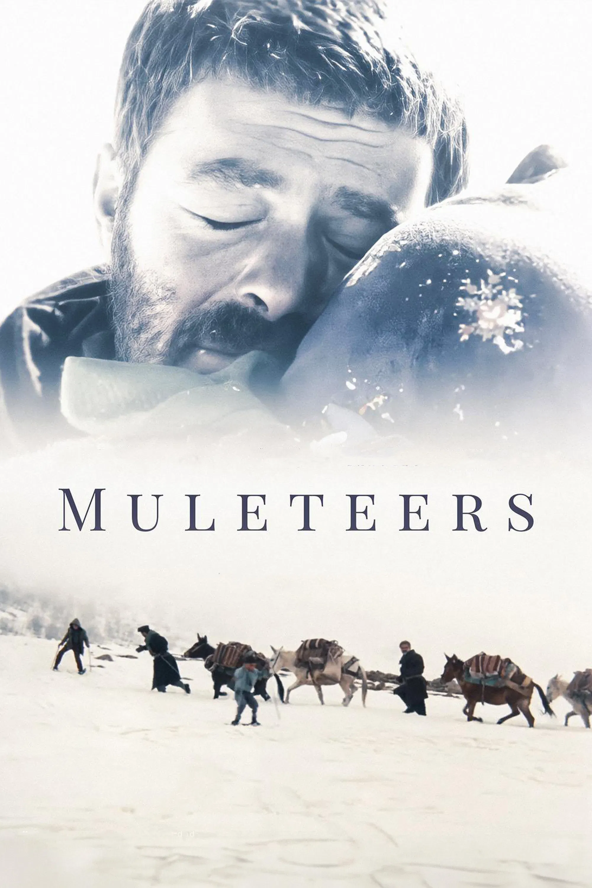 Poster of the movie Muleteers