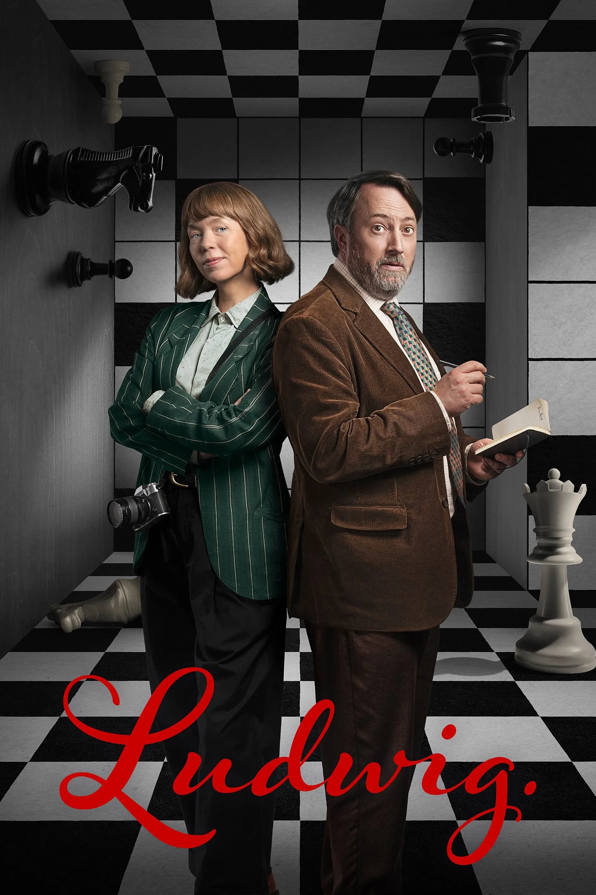 Poster of Ludwig