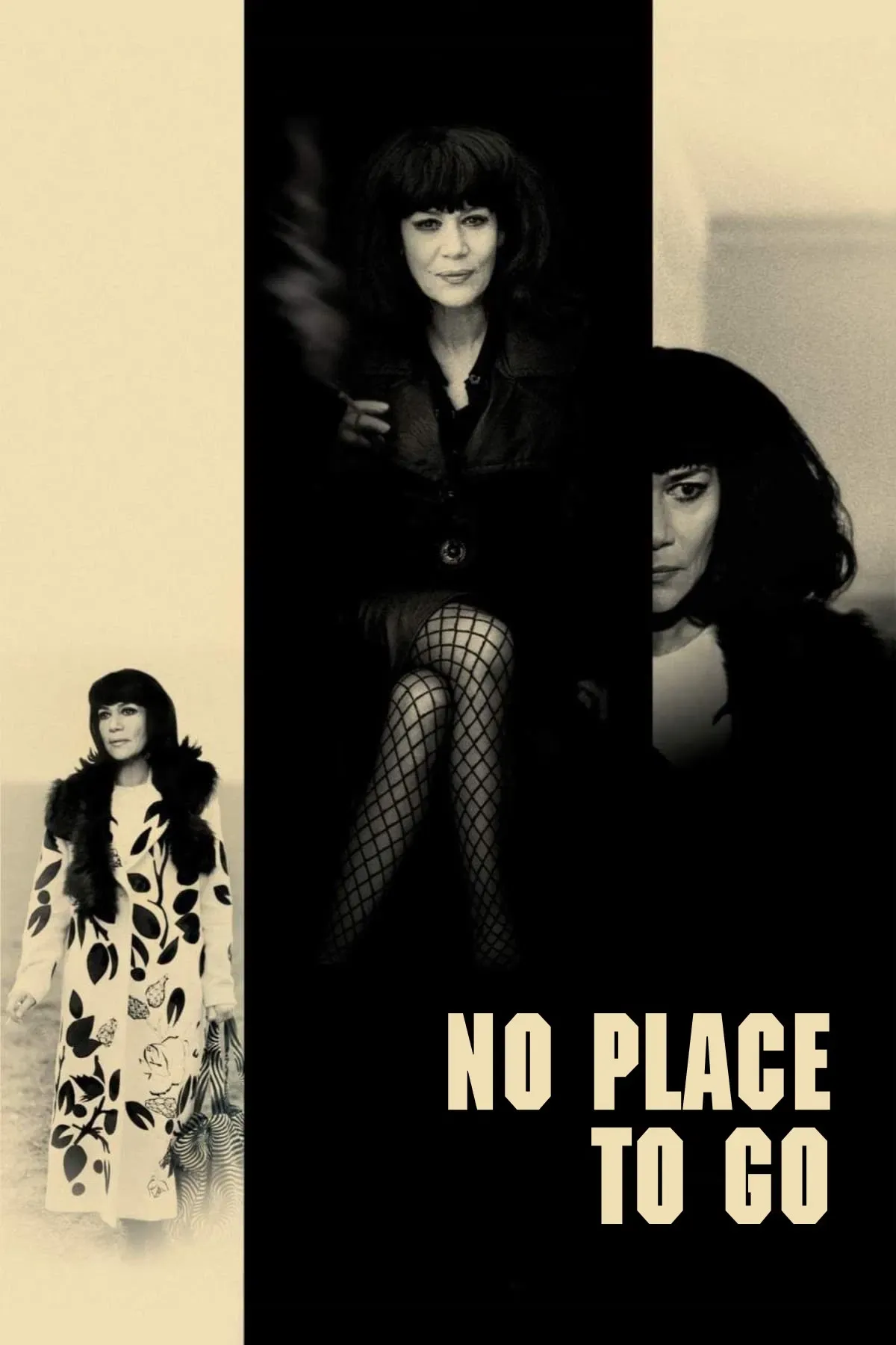 Poster of the movie No Place to Go