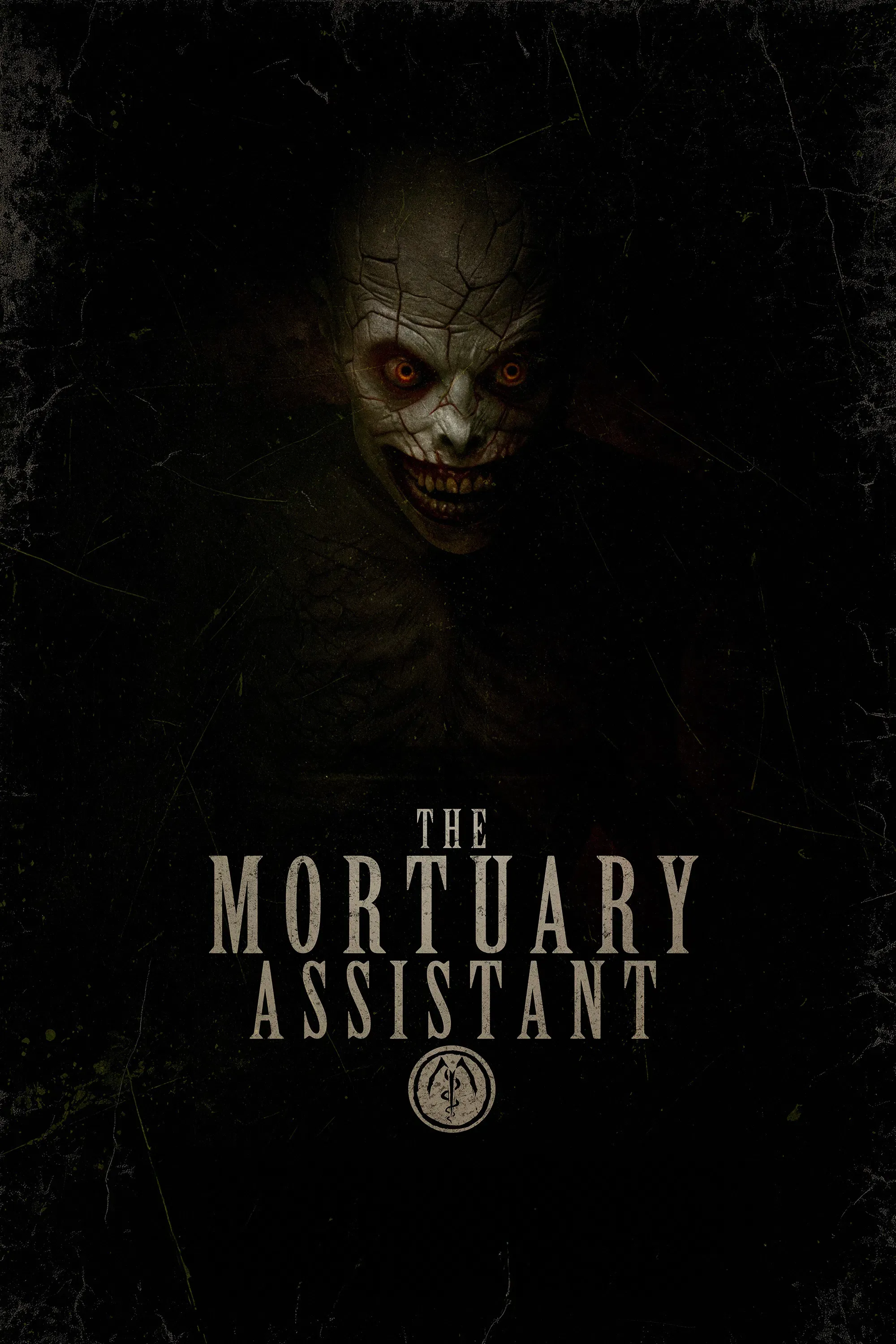 Poster for The Mortuary Assistant