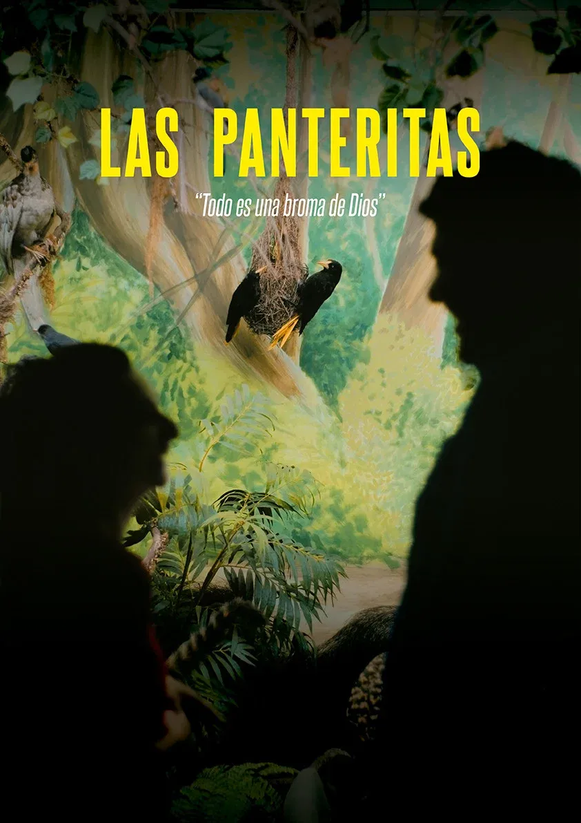 Poster for The Little Panthers