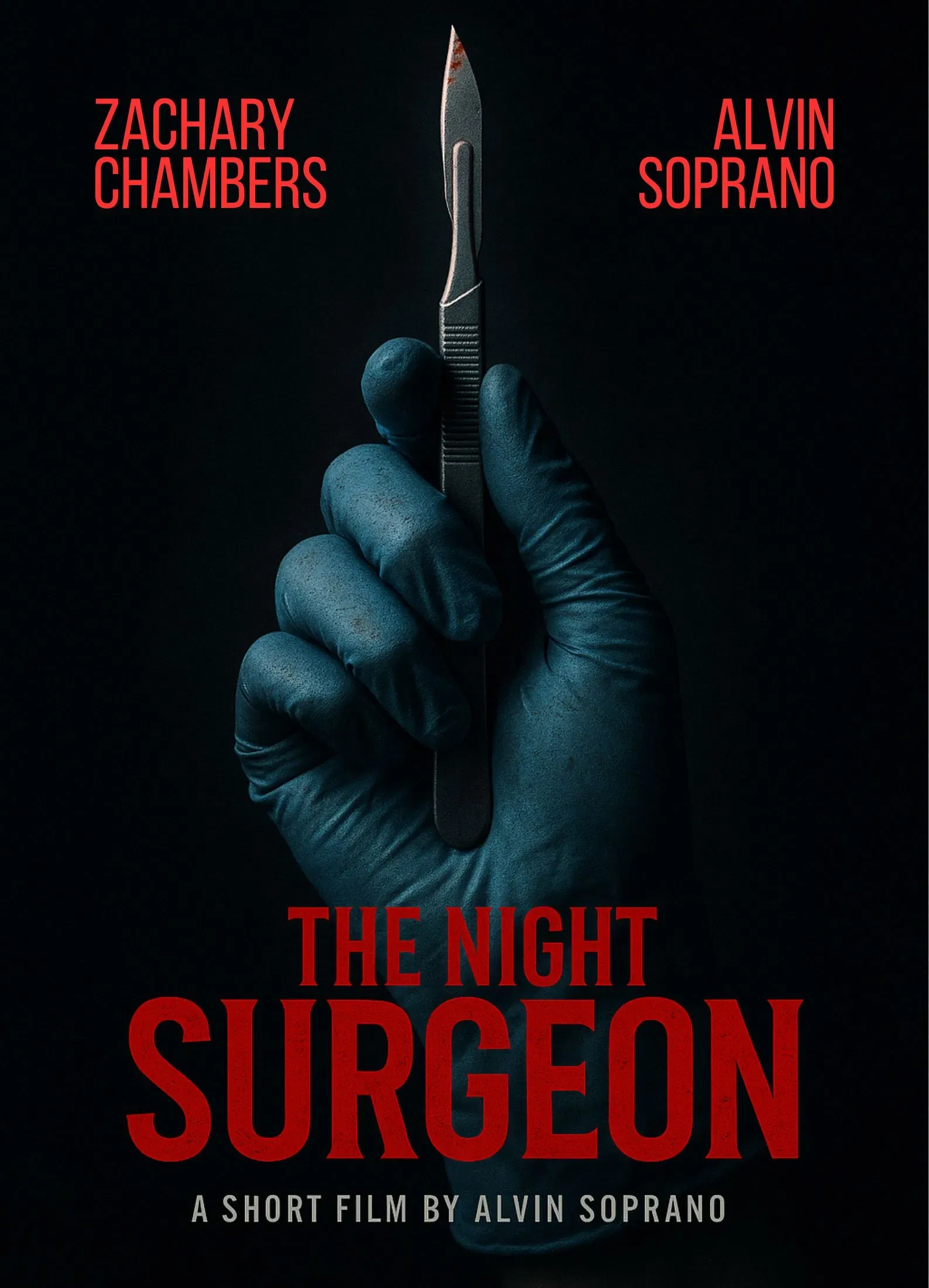 Poster of the movie The Night Surgeon