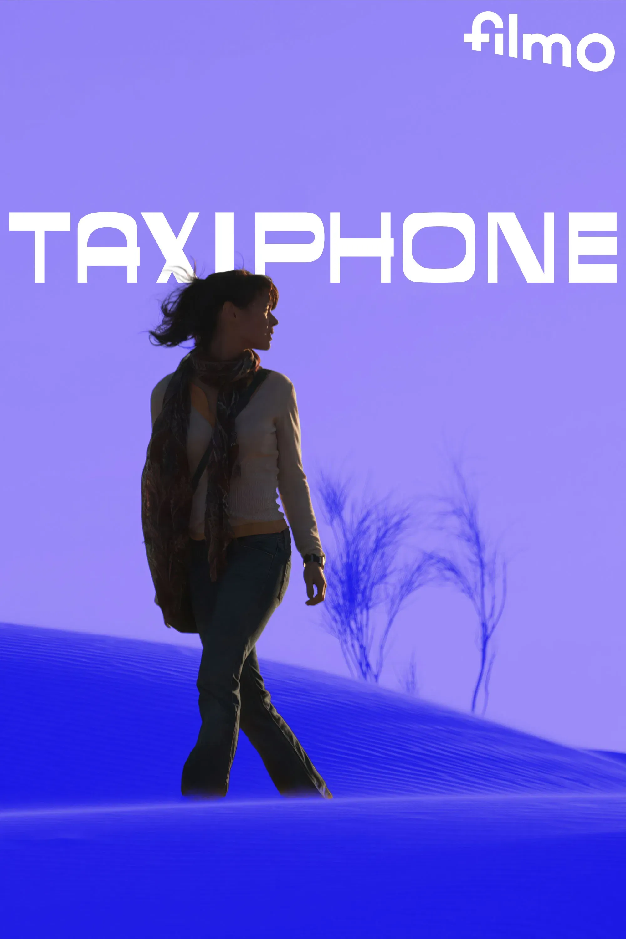Poster of the movie Taxiphone