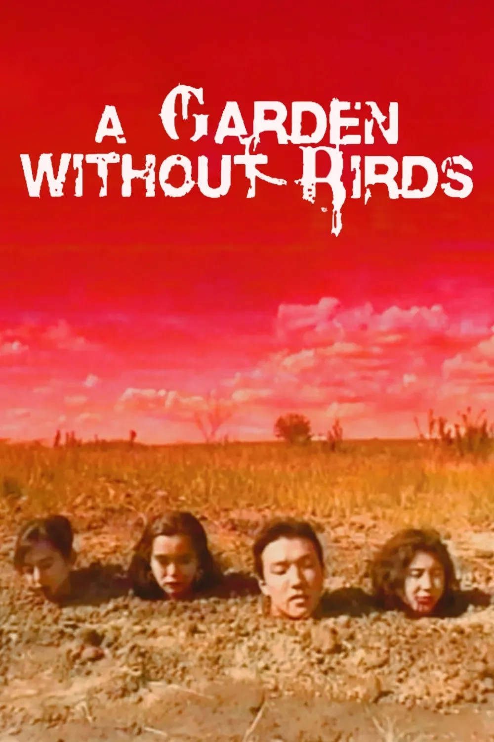 Poster of the movie A Garden Without Birds