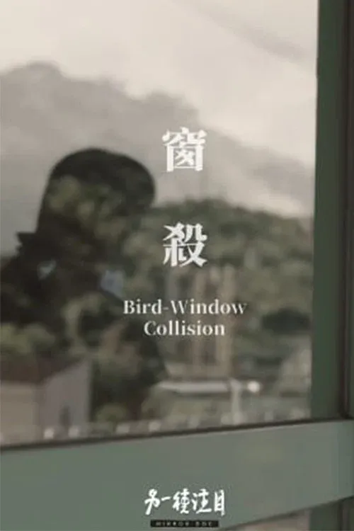 Poster for Bird-Window Collisions