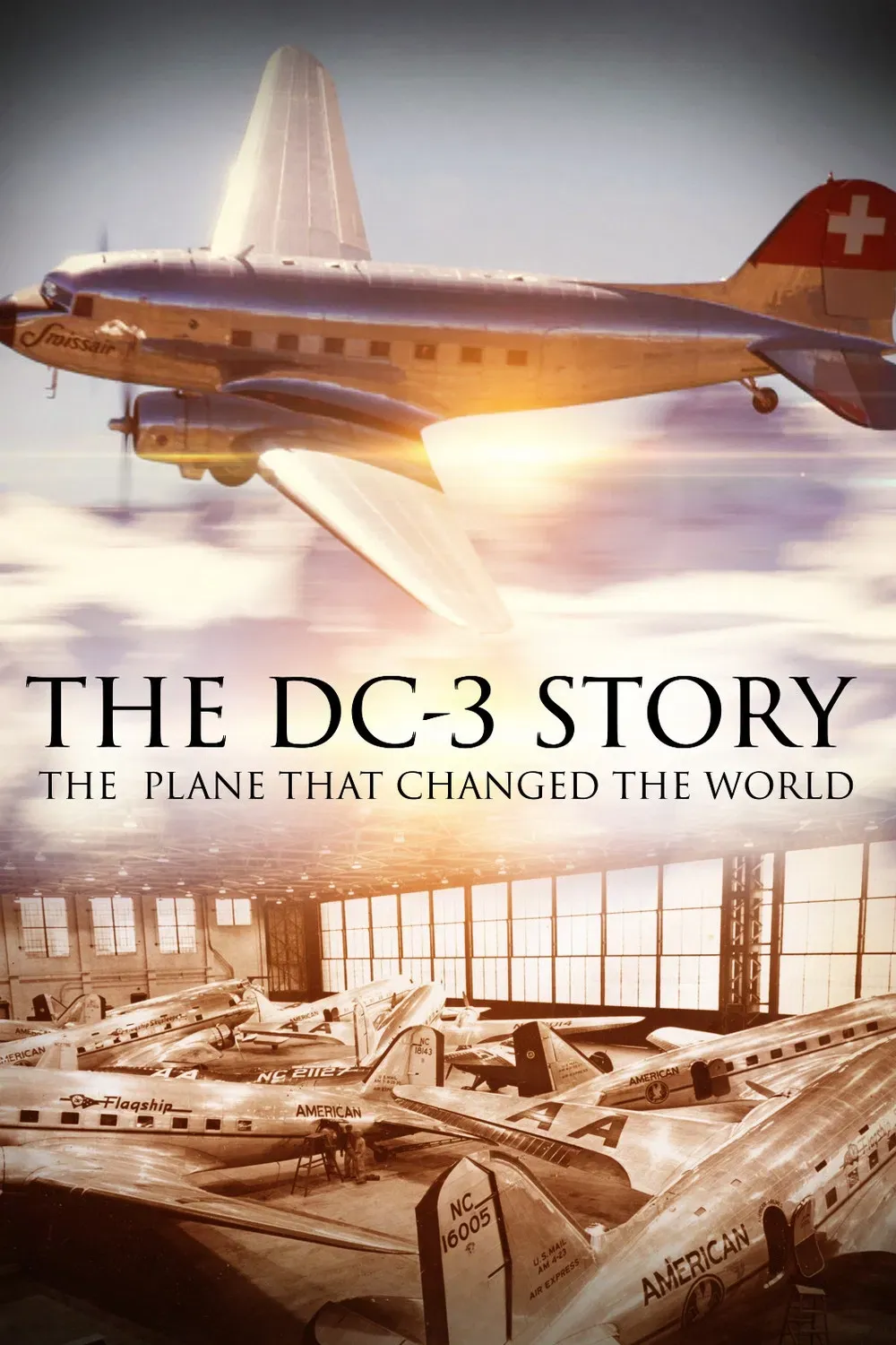 Poster of the movie The DC-3 Story: The Plane That Changed the World