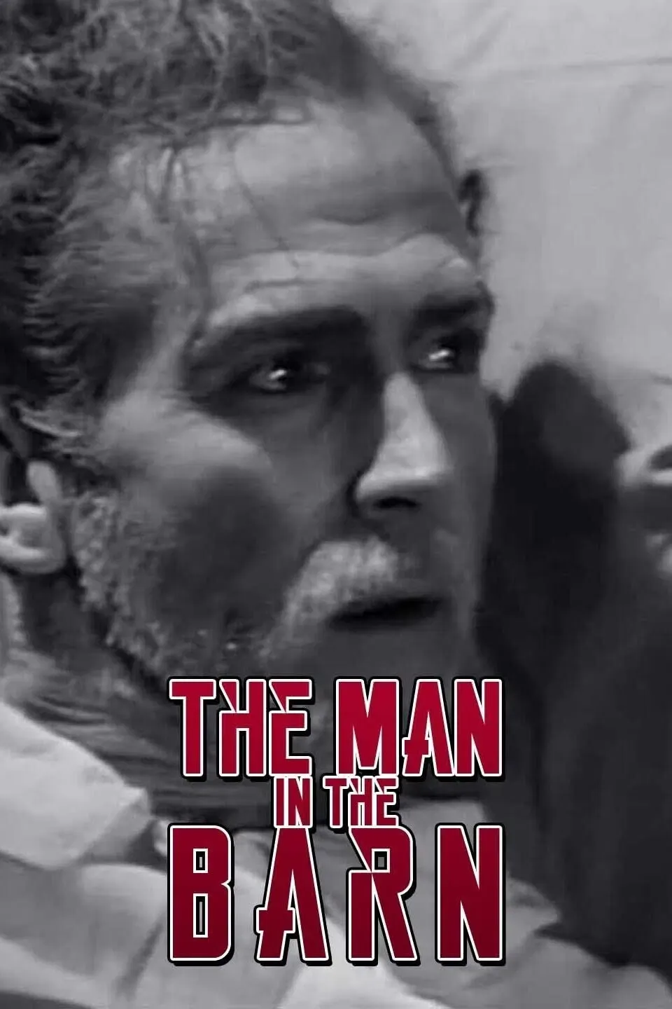 Poster of the movie The Man in the Barn